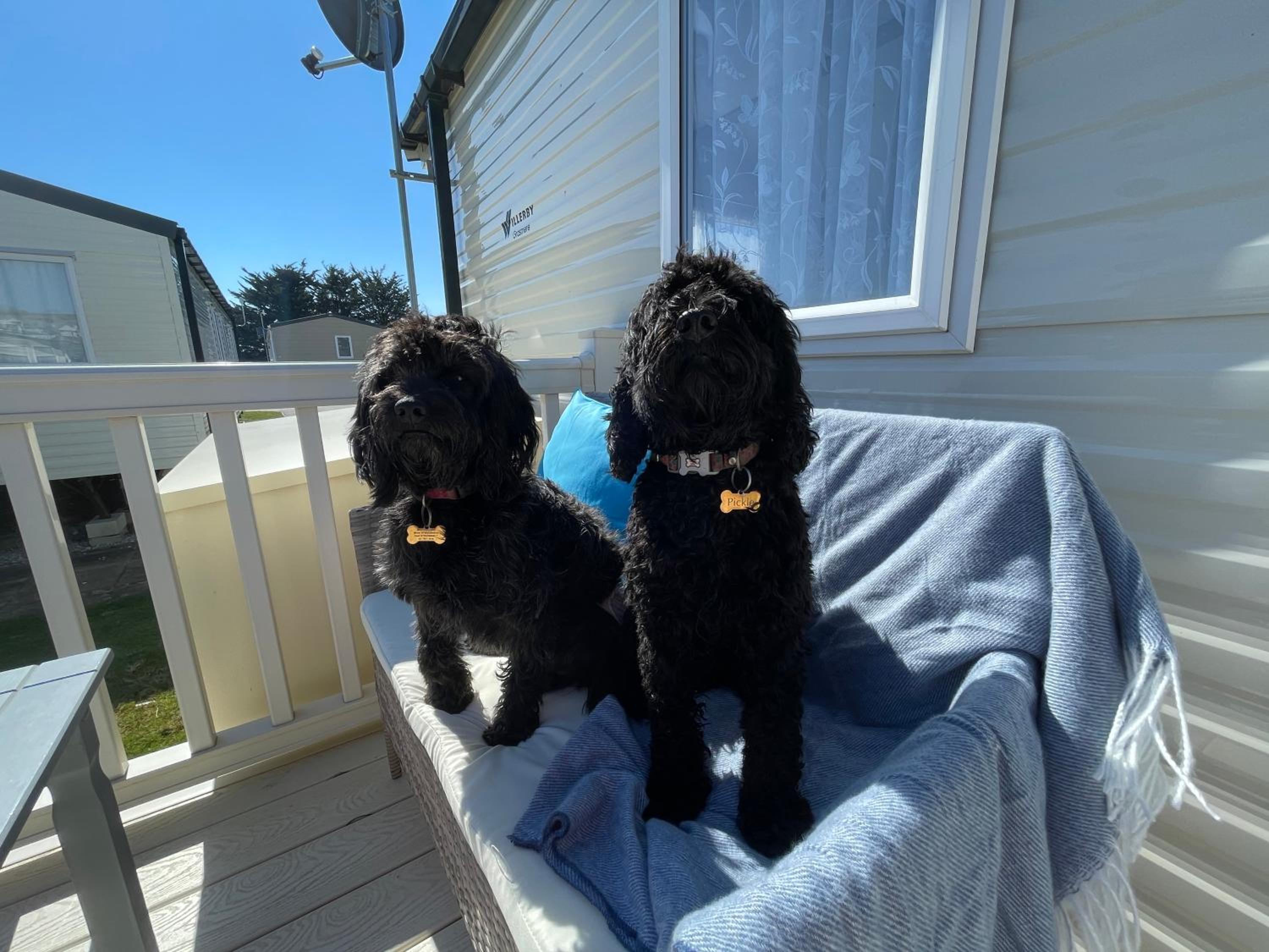 Golden Dunes Retreat, Dog-Friendly Stay at Par Sands Holiday Park, Cornwall