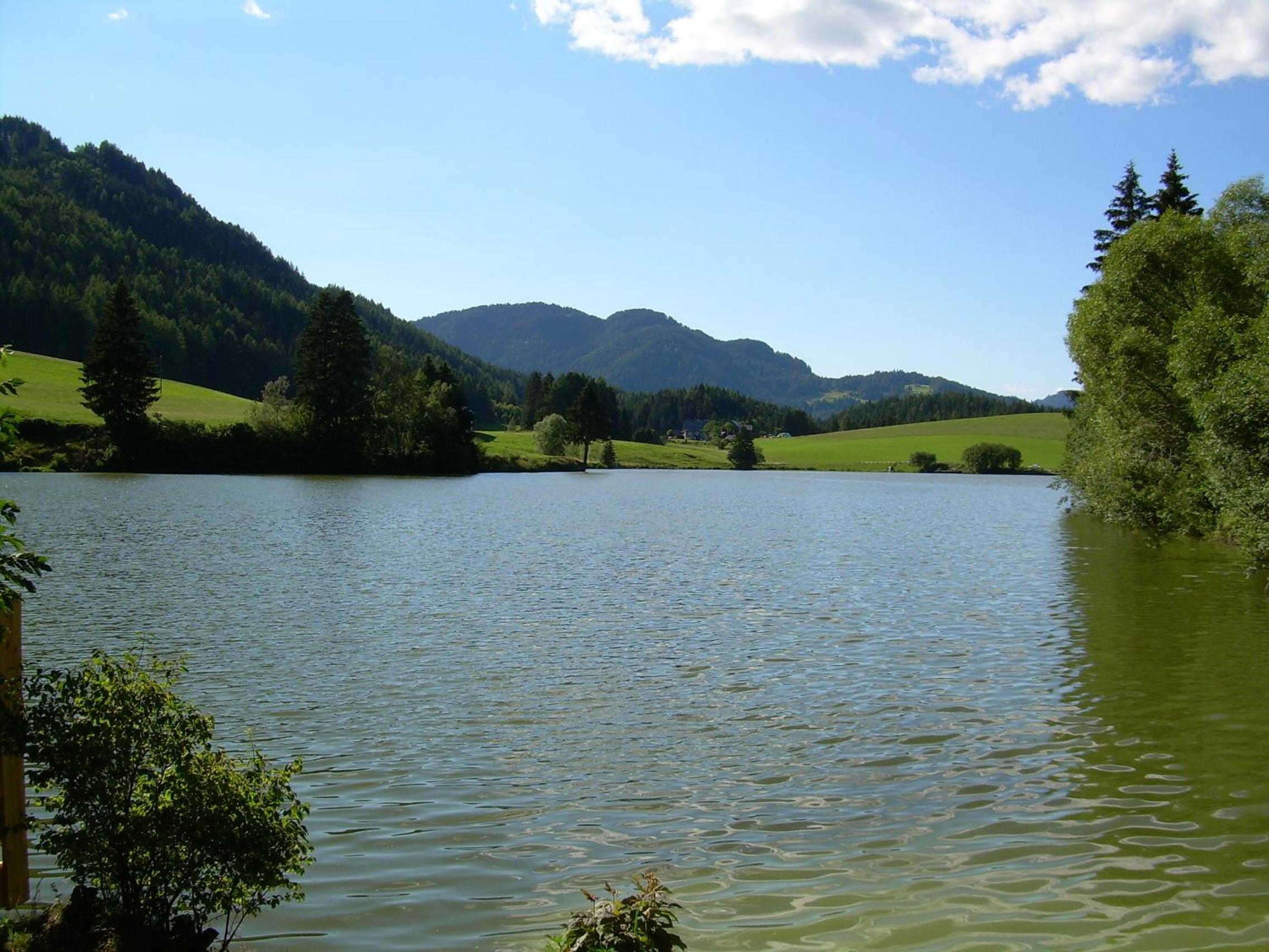 Photo 22