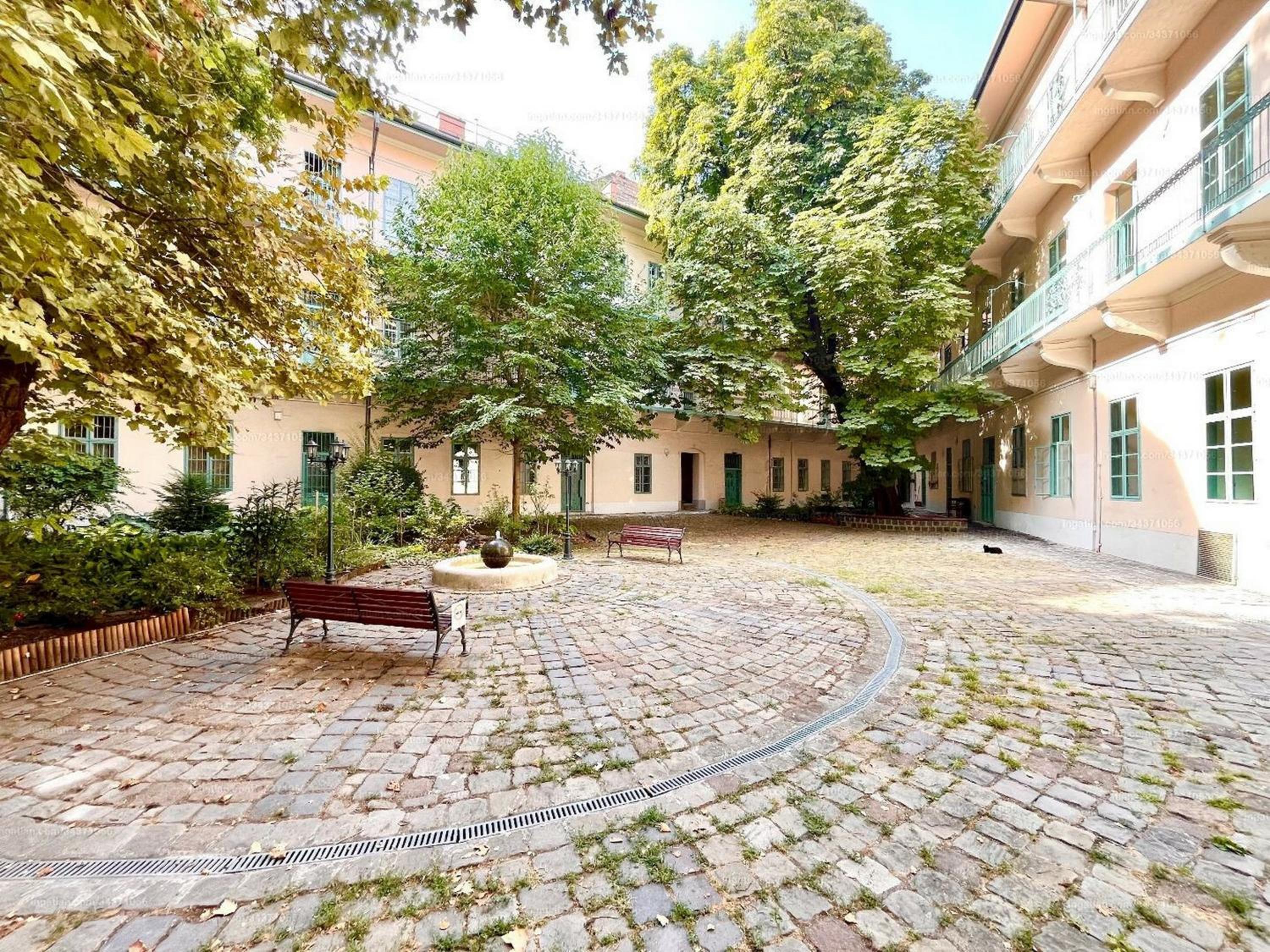 Cozy & Green Downtown Residence