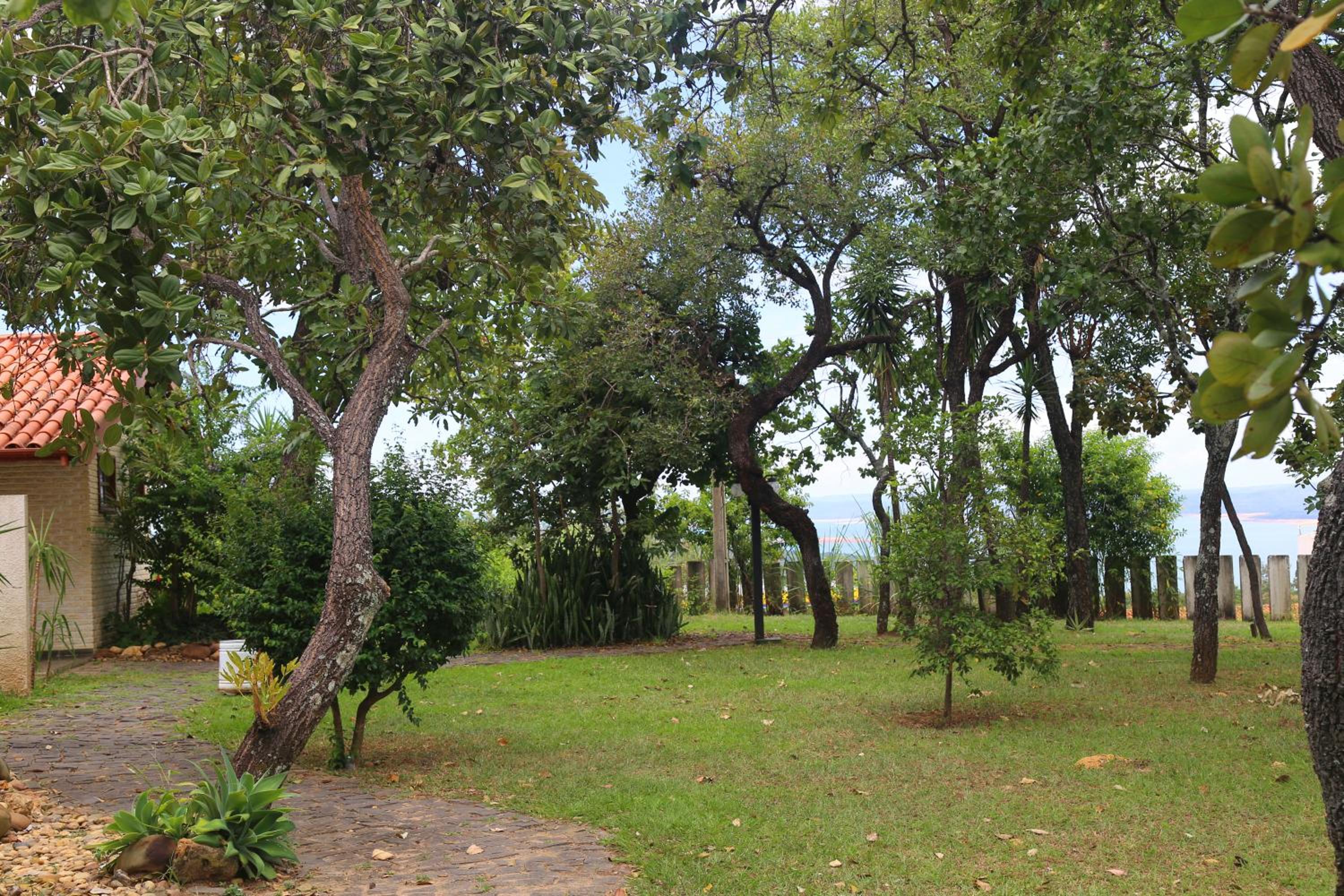 Photo 47