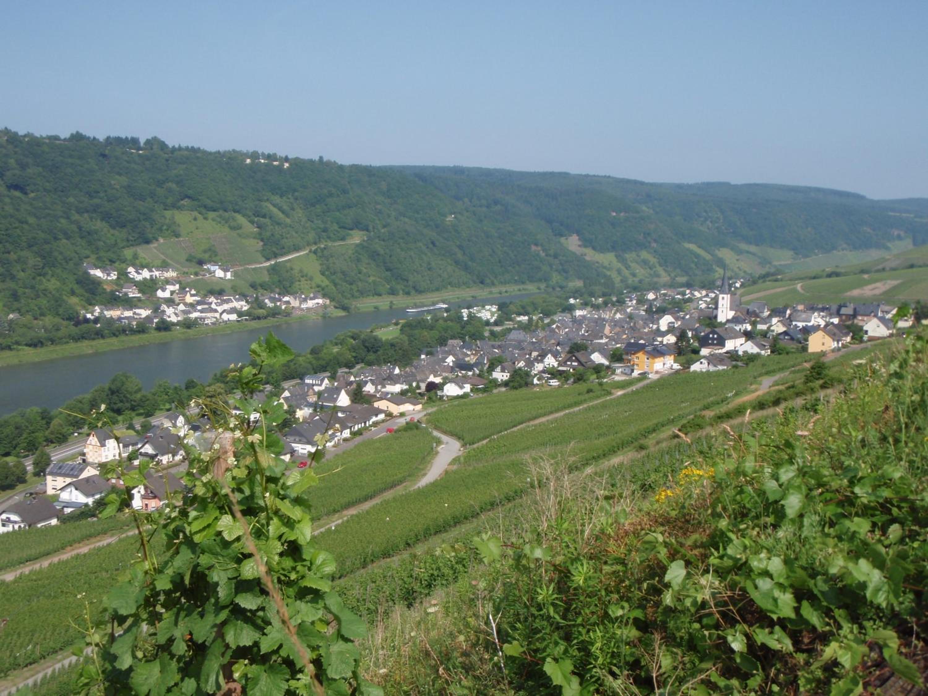 Weingut Stiftshof