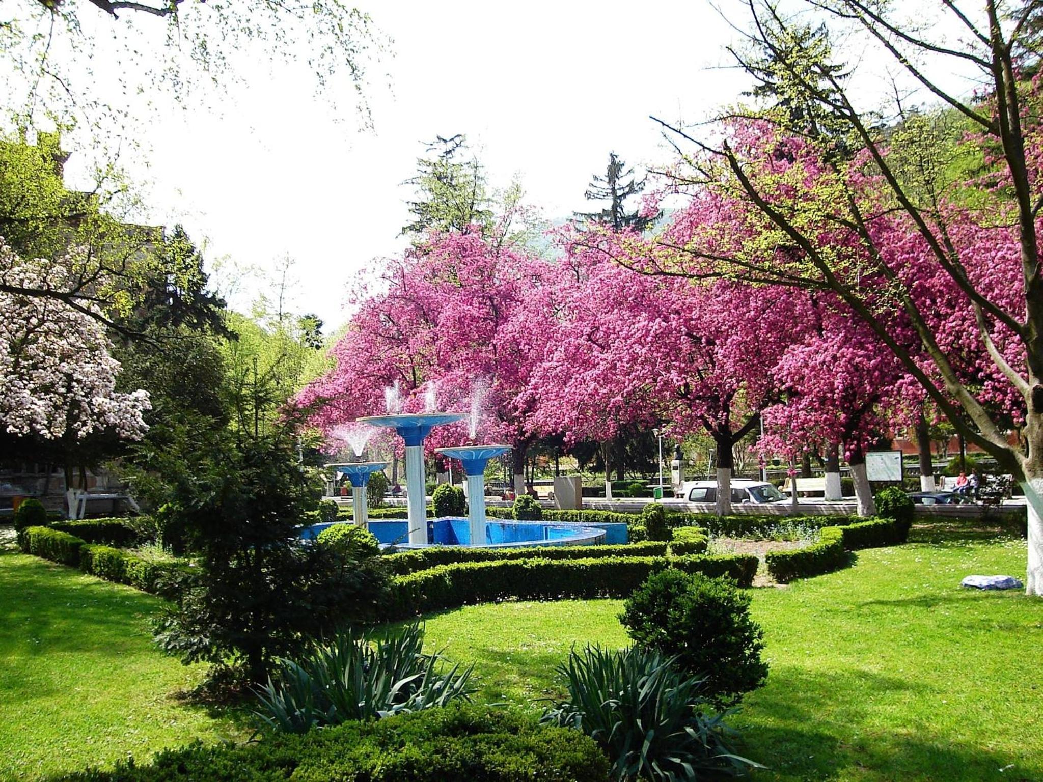 Pensiunea Magic