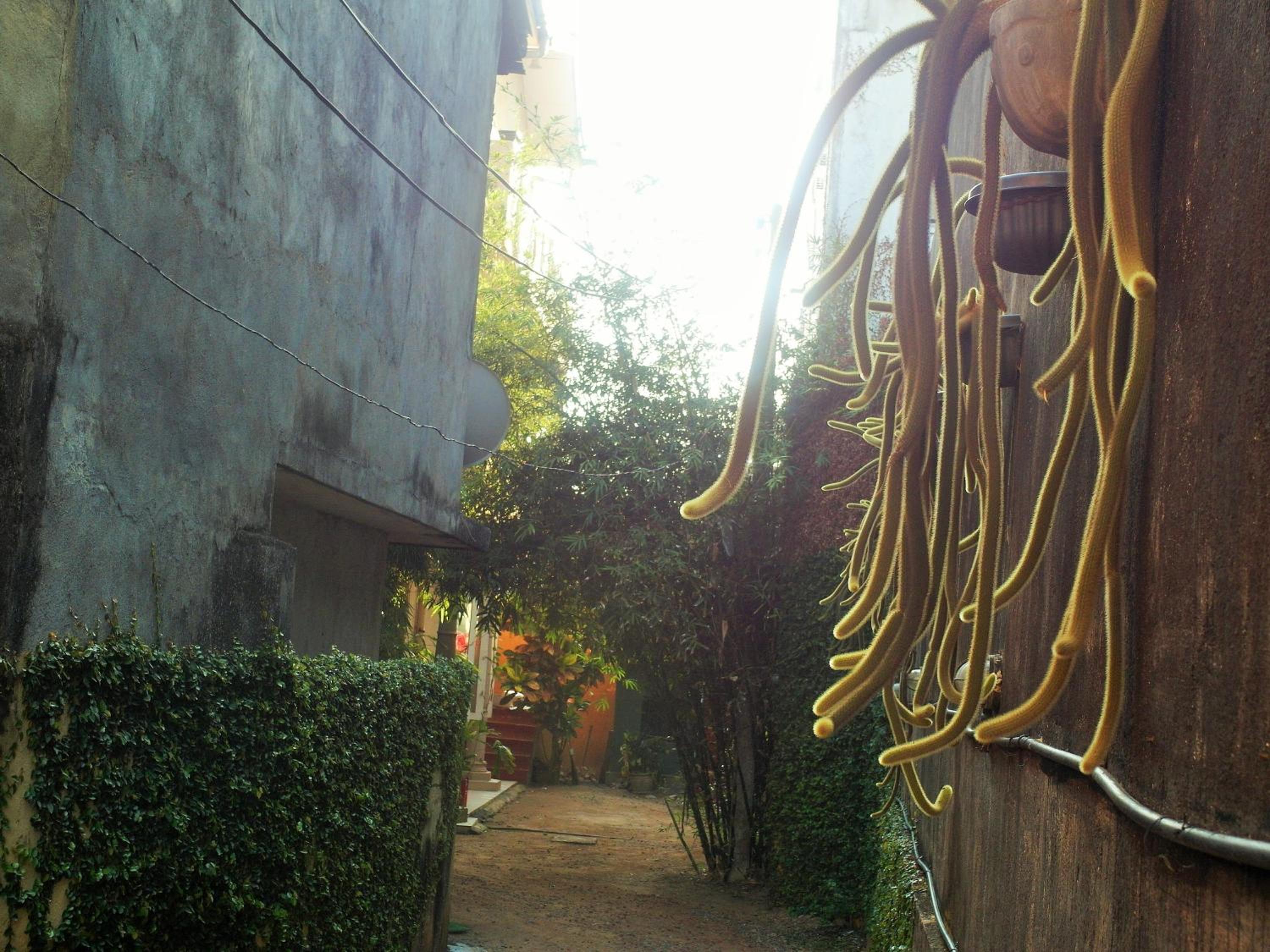 Photo 22