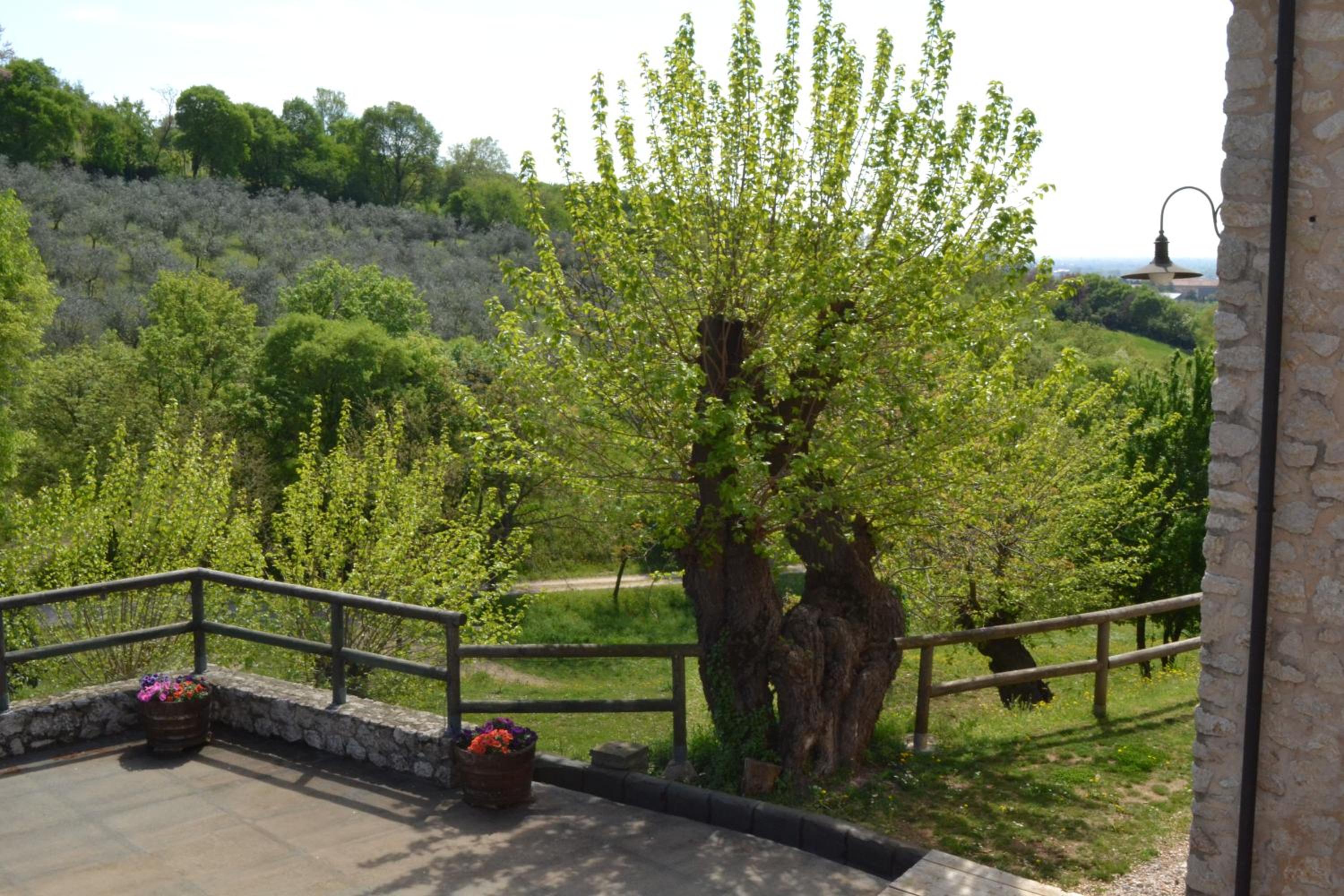 Photo 45