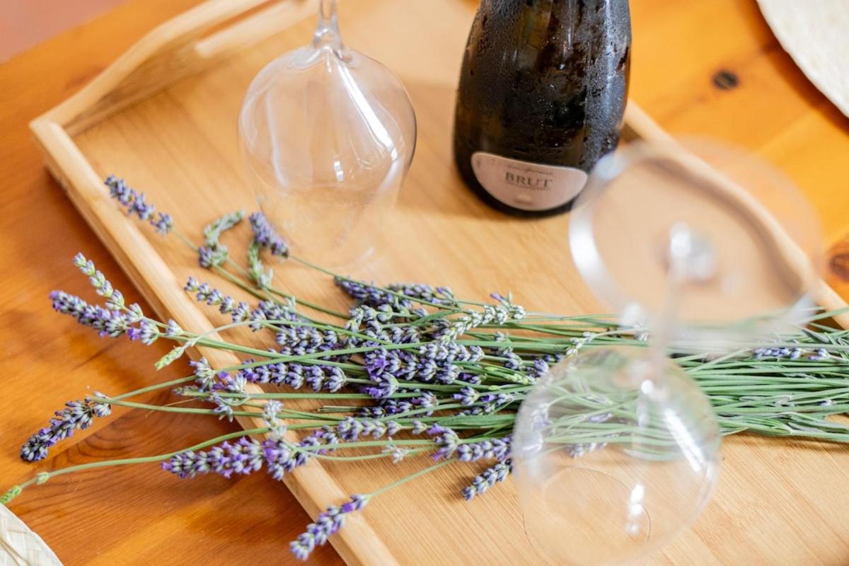 Lavanda Lake View Studio