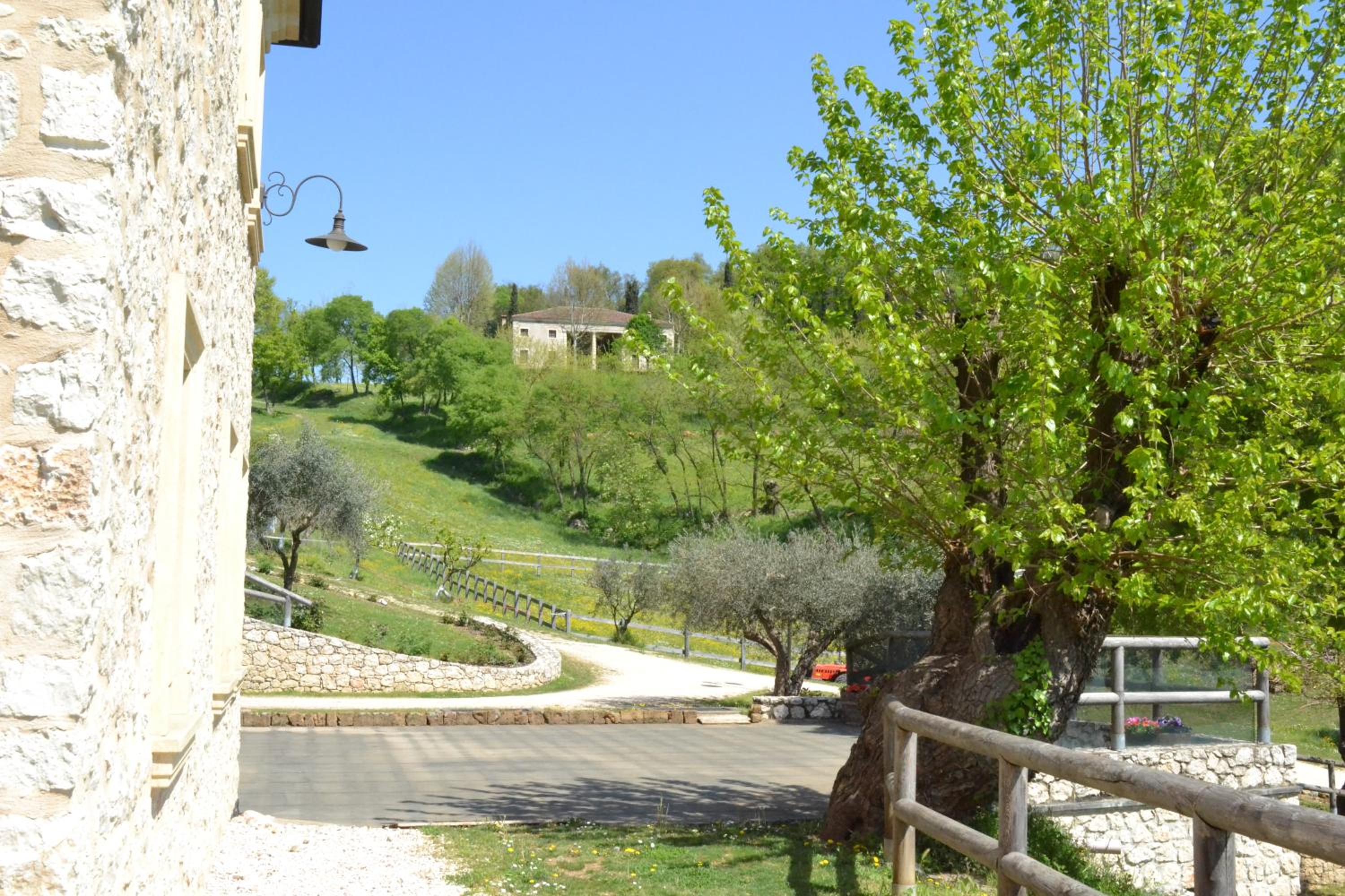 Photo 43
