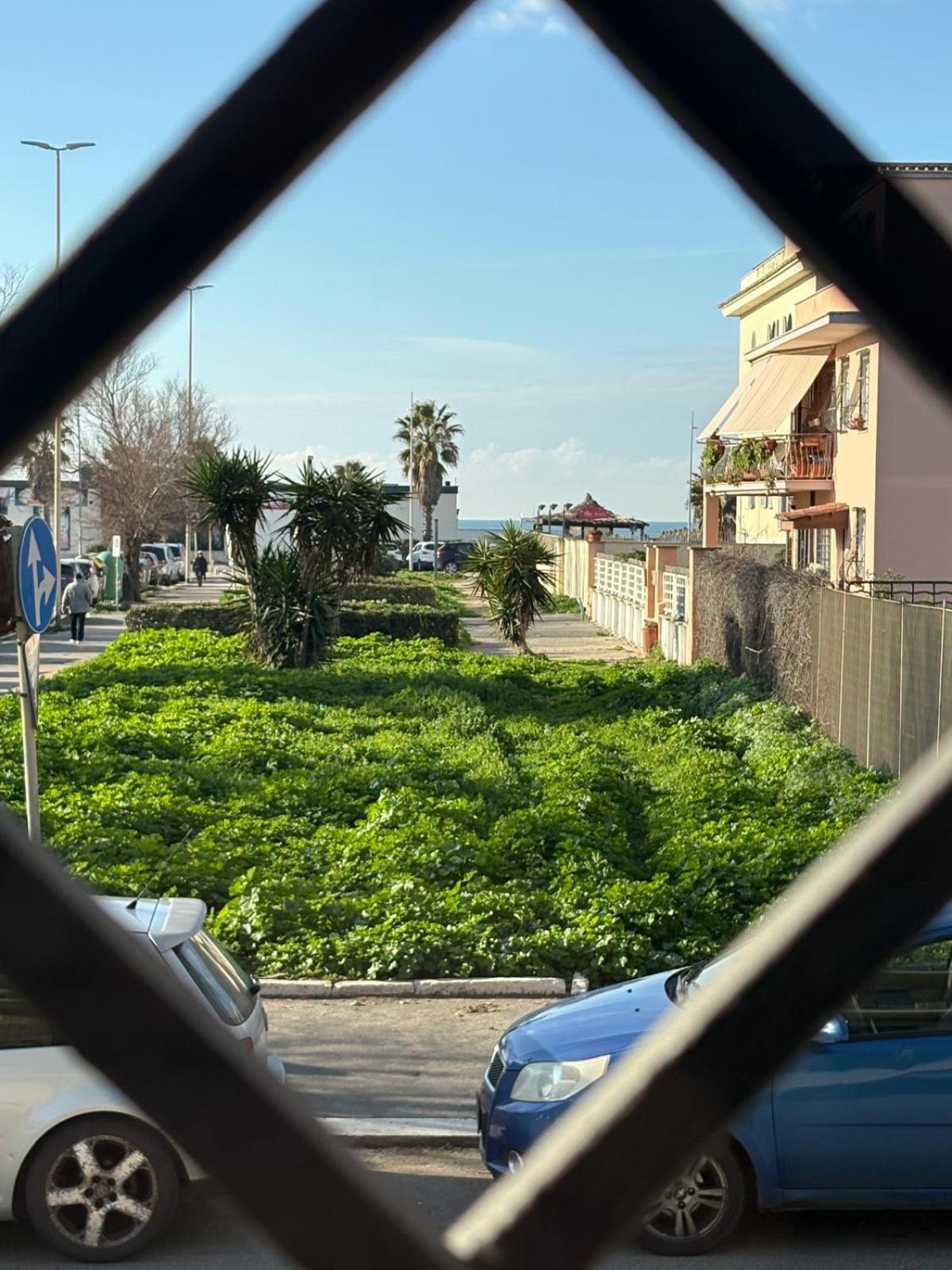 Casamare Ostia