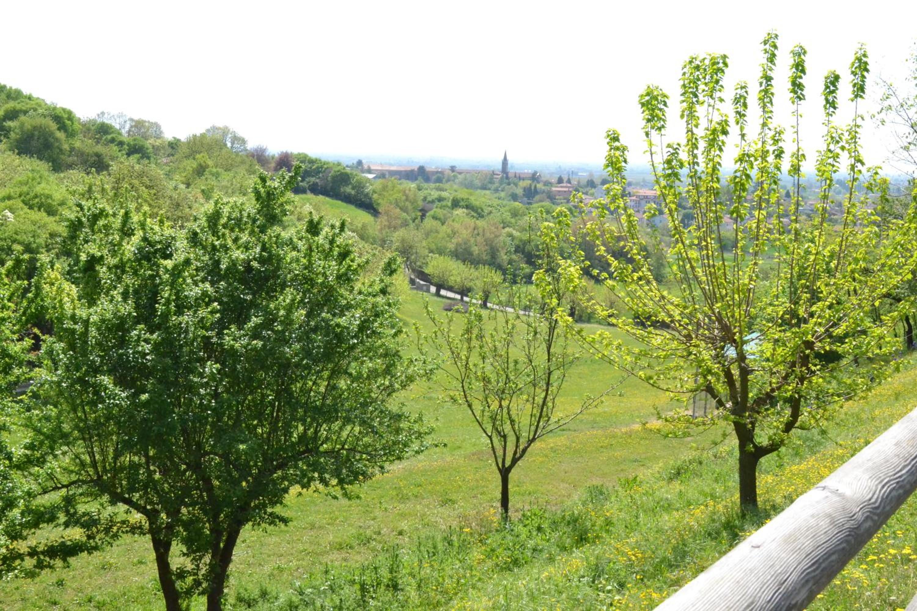 Photo 42