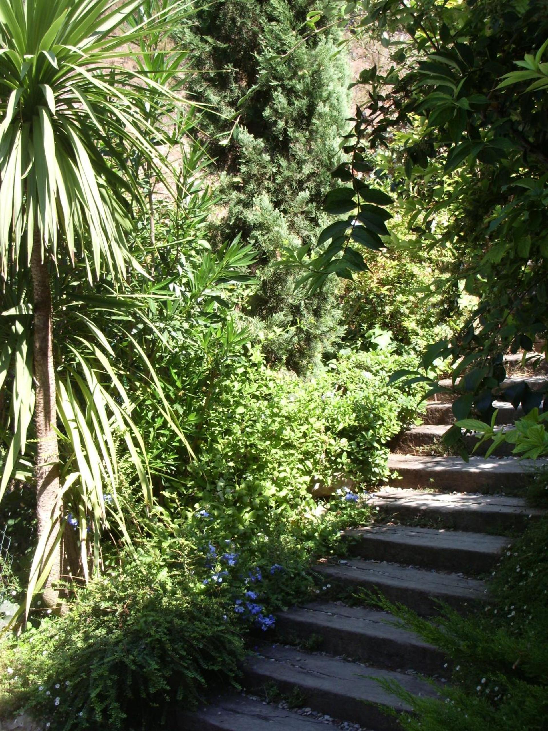 Photo 29