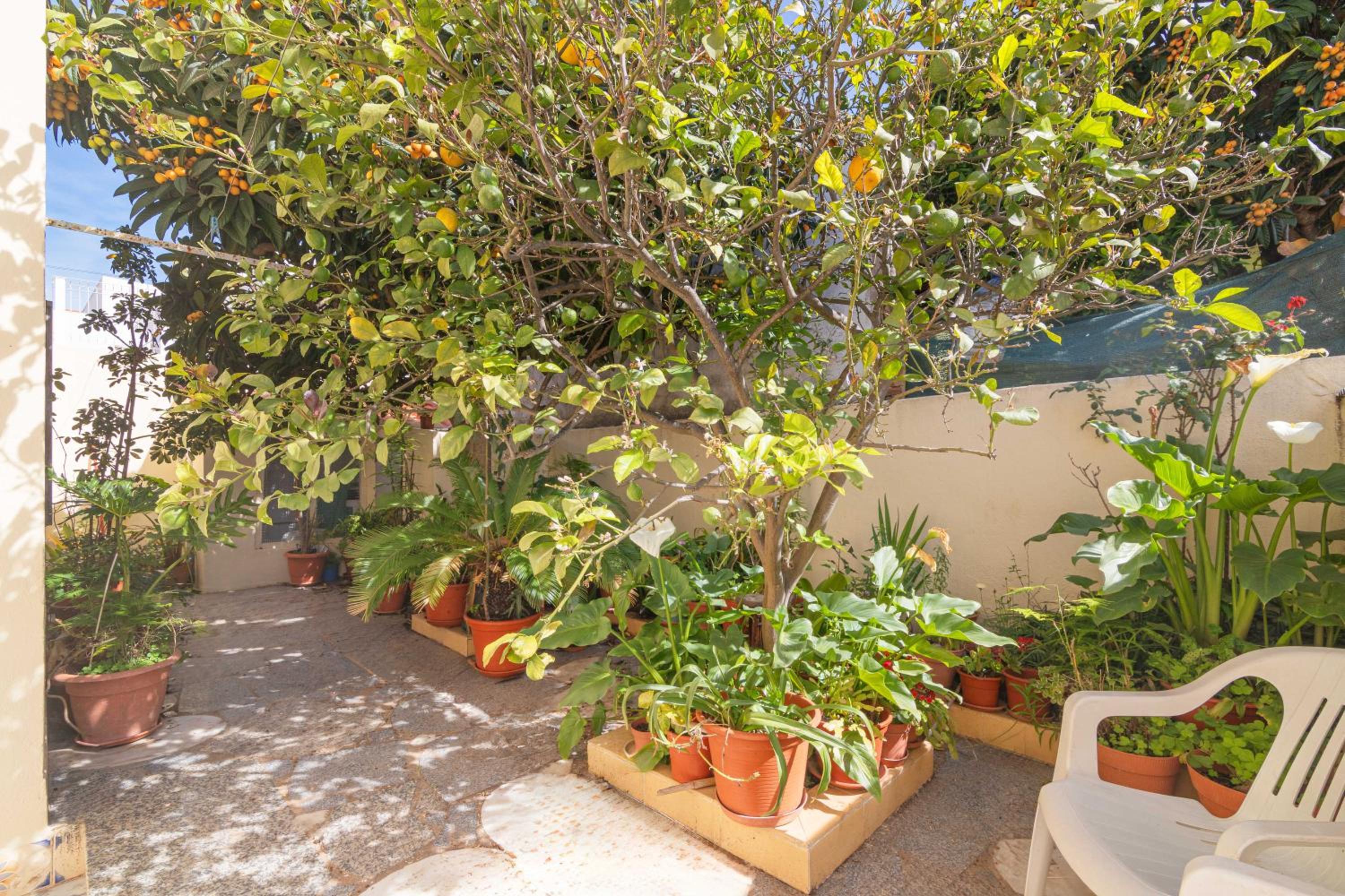 Casa do Sol - Estombar, Algarve