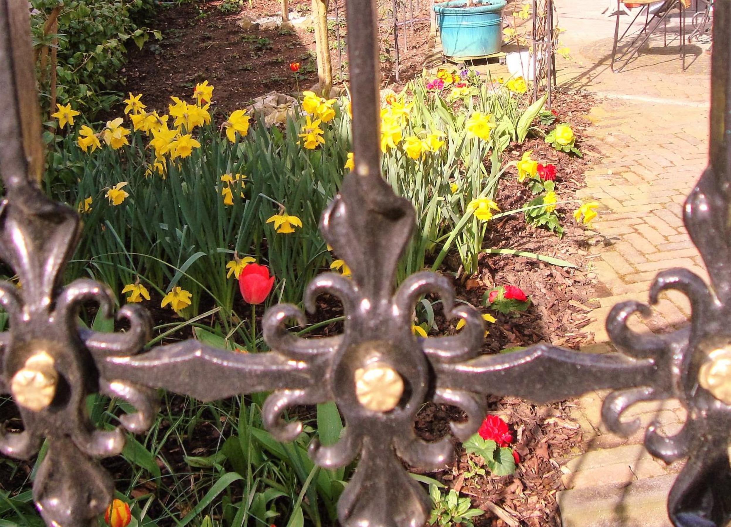 Vivere Ad Parcum - Bed And Breakfast
