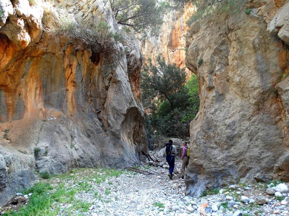 Photo 21