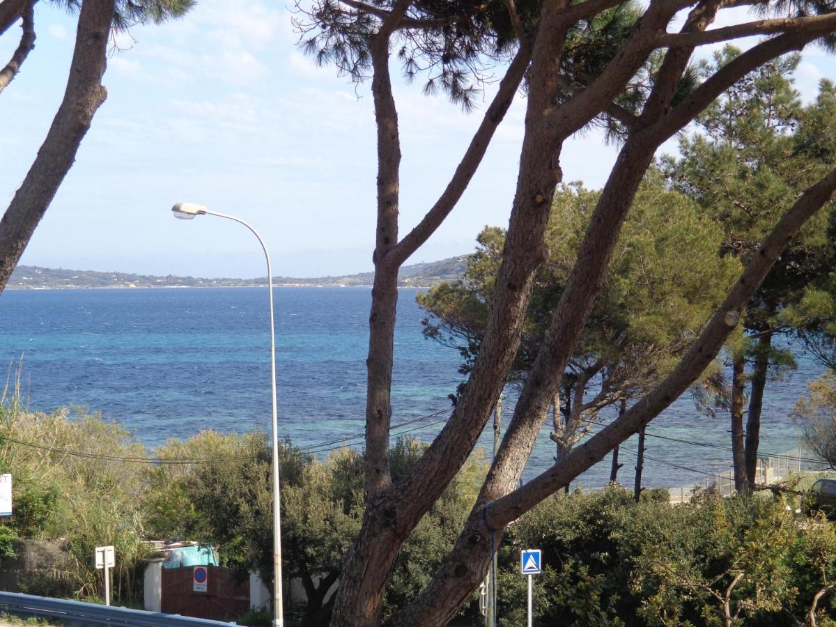 Photo 47