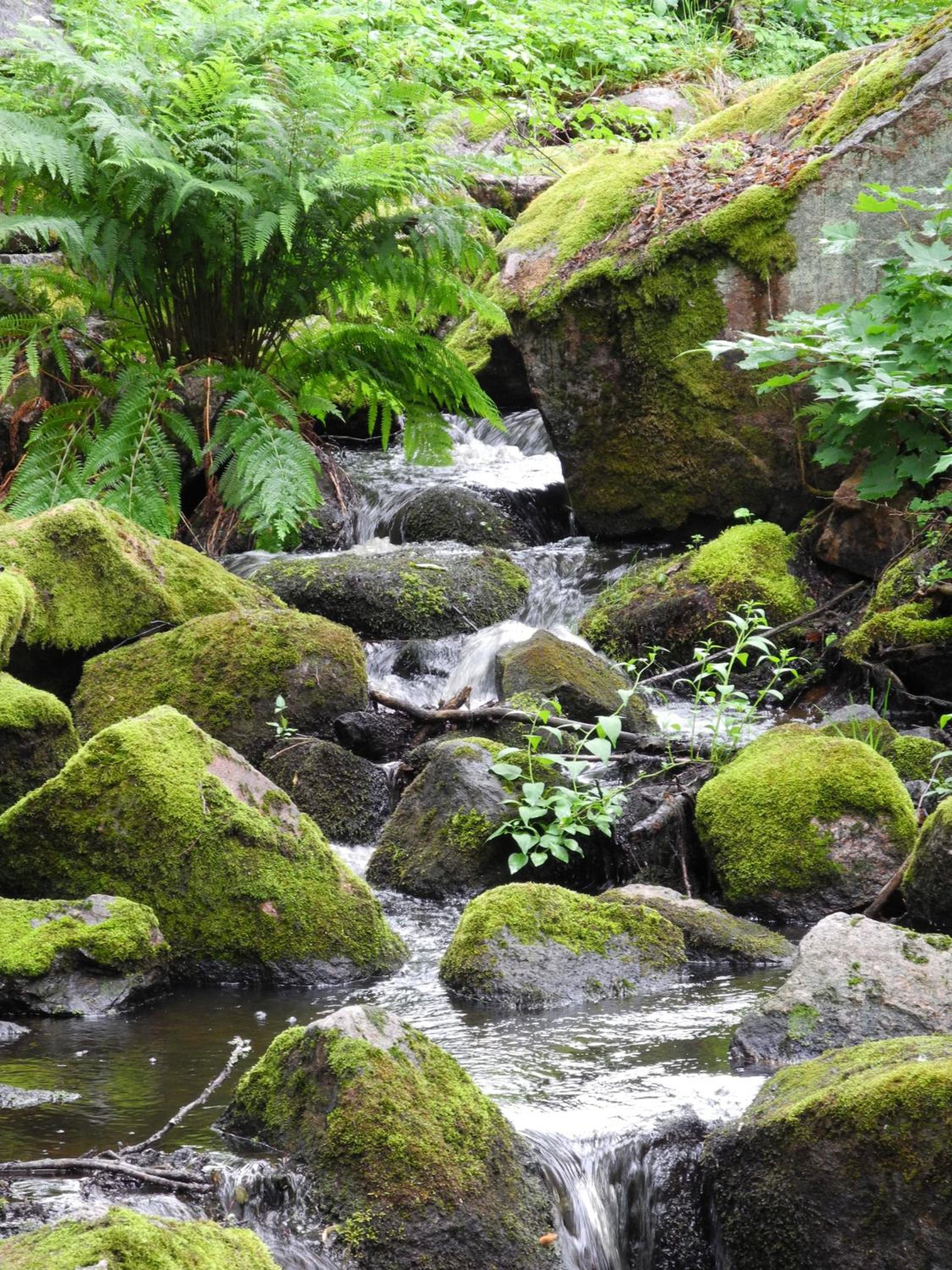 Finnåkers Kursgård view 2