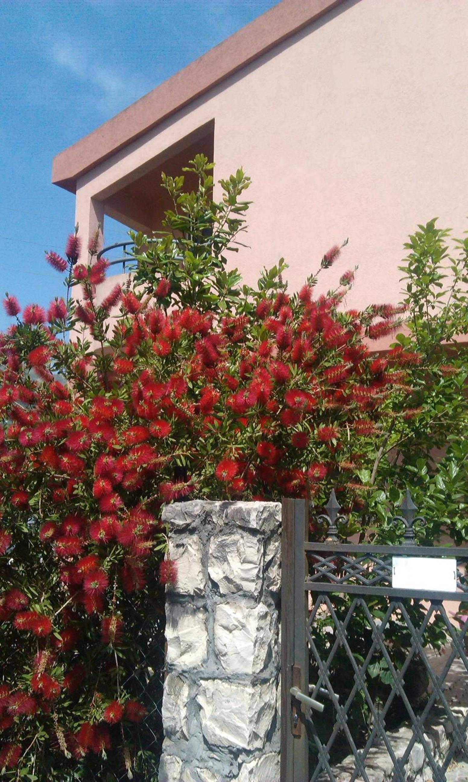 Photo 37