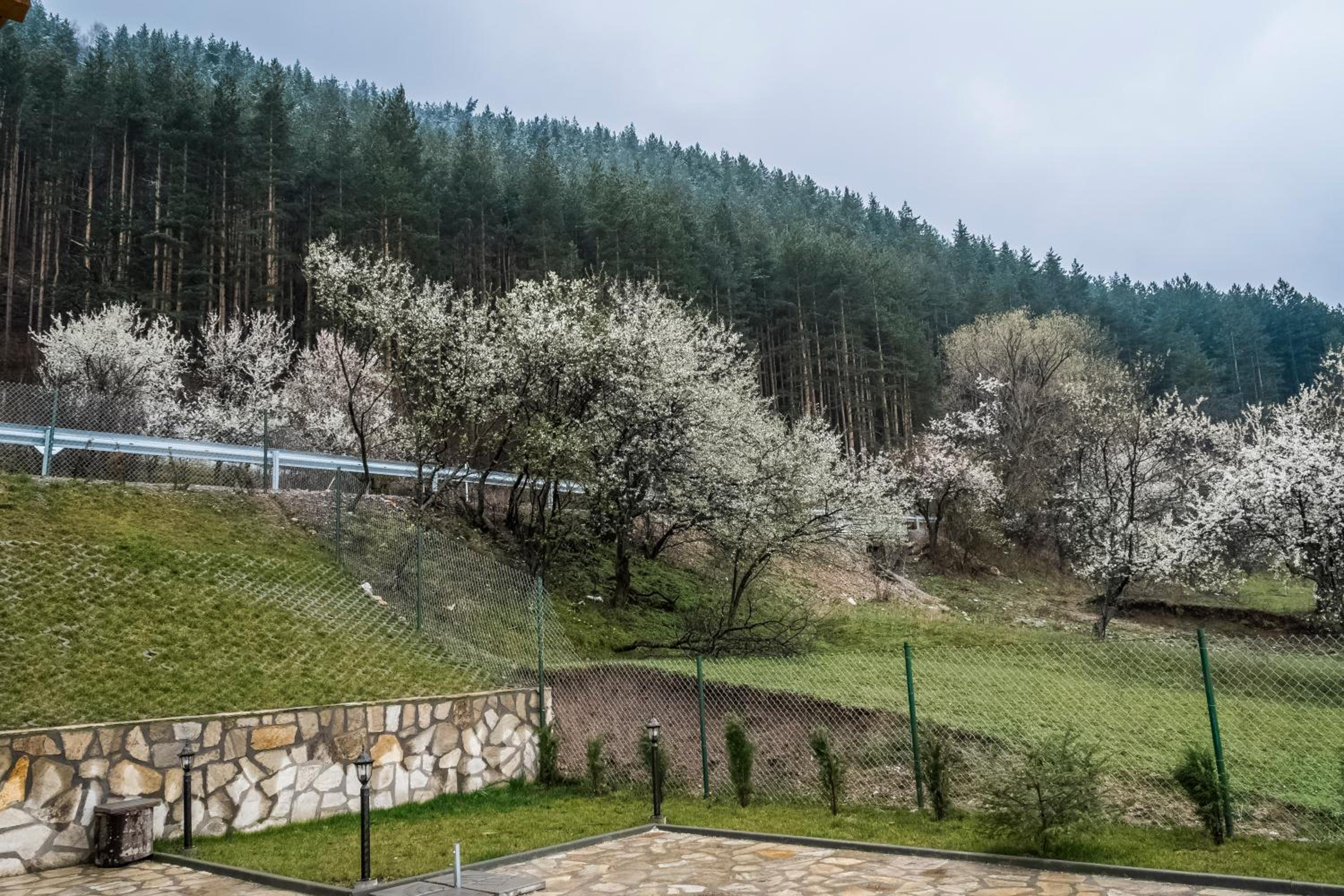 Mini Complex Rilski Terasi