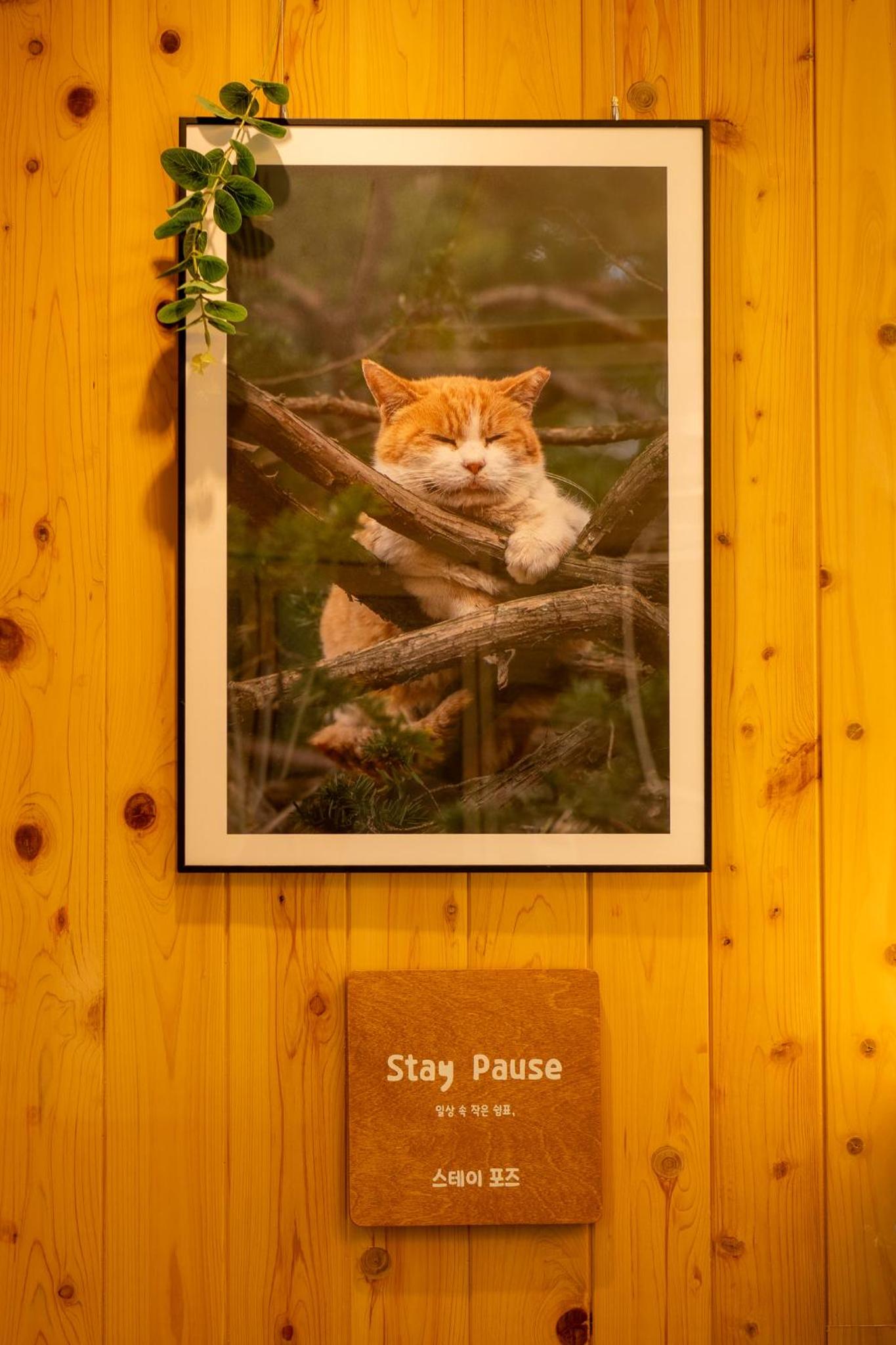 스테이 포즈 서울 Stay Pause- Serene Loft Retreat in Seoul