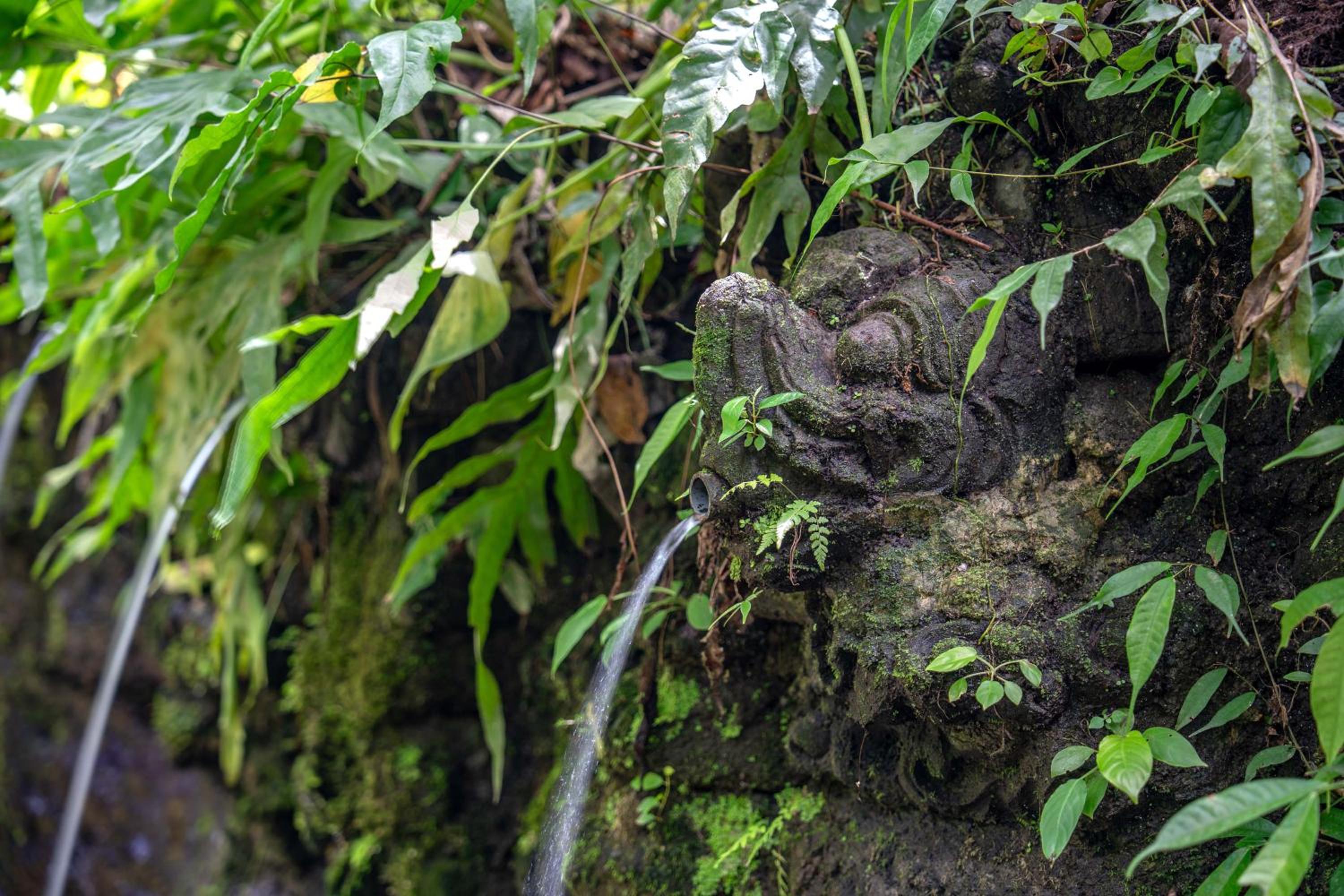 The Macaw Ubud Green Uma Villa