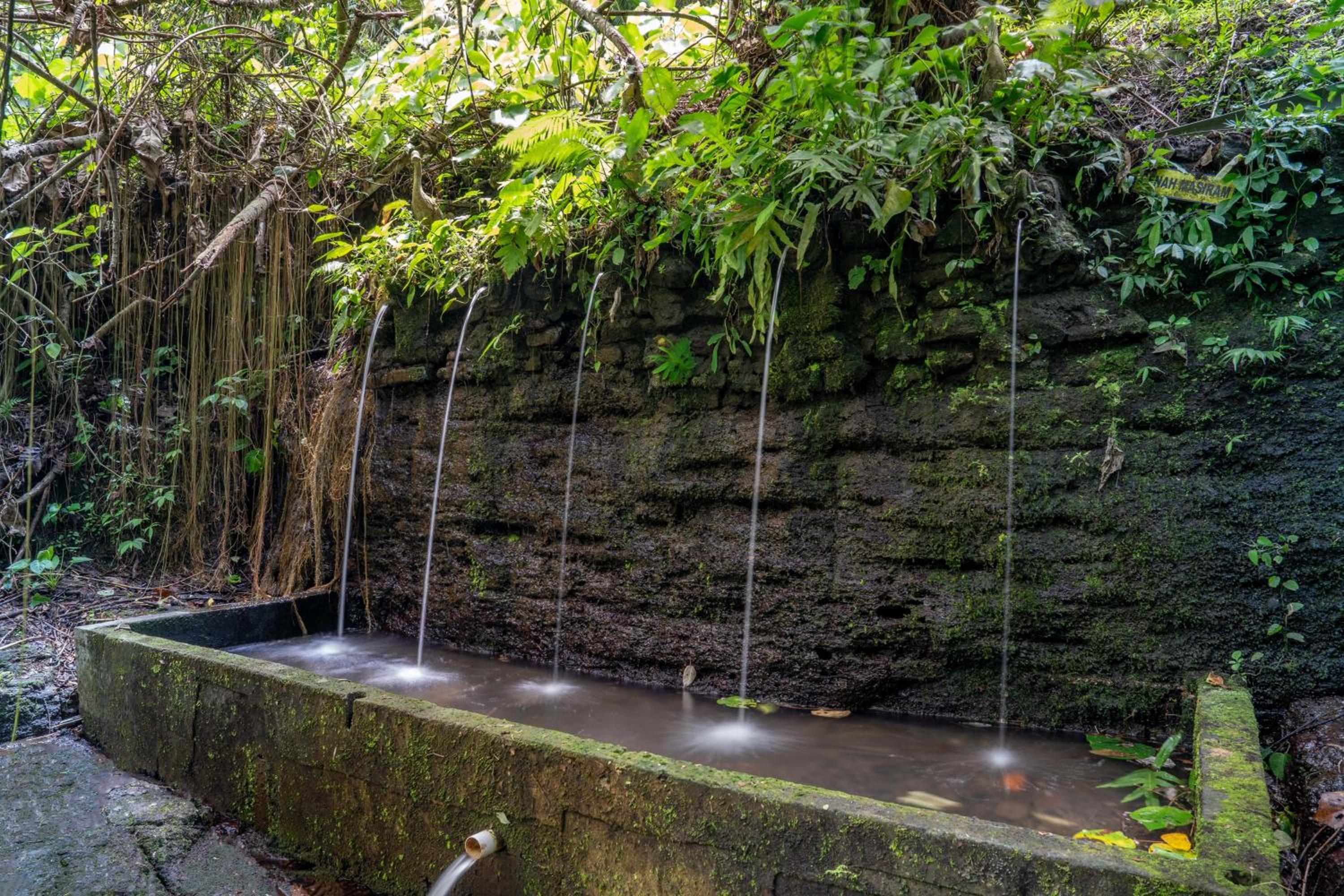 The Macaw Ubud Green Uma Villa