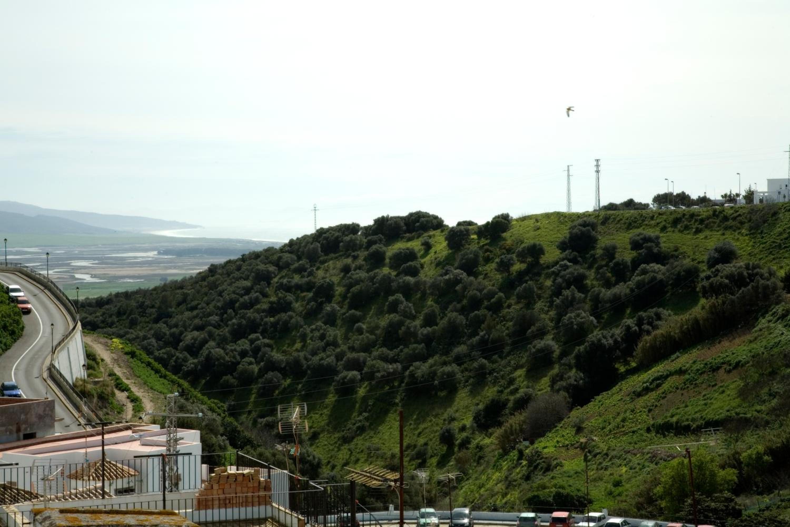 Apartamentos Reysan
