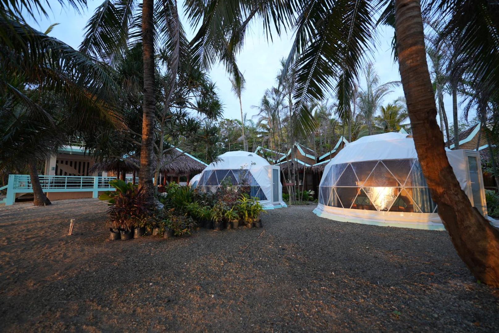 Carabao Island Beach Camp