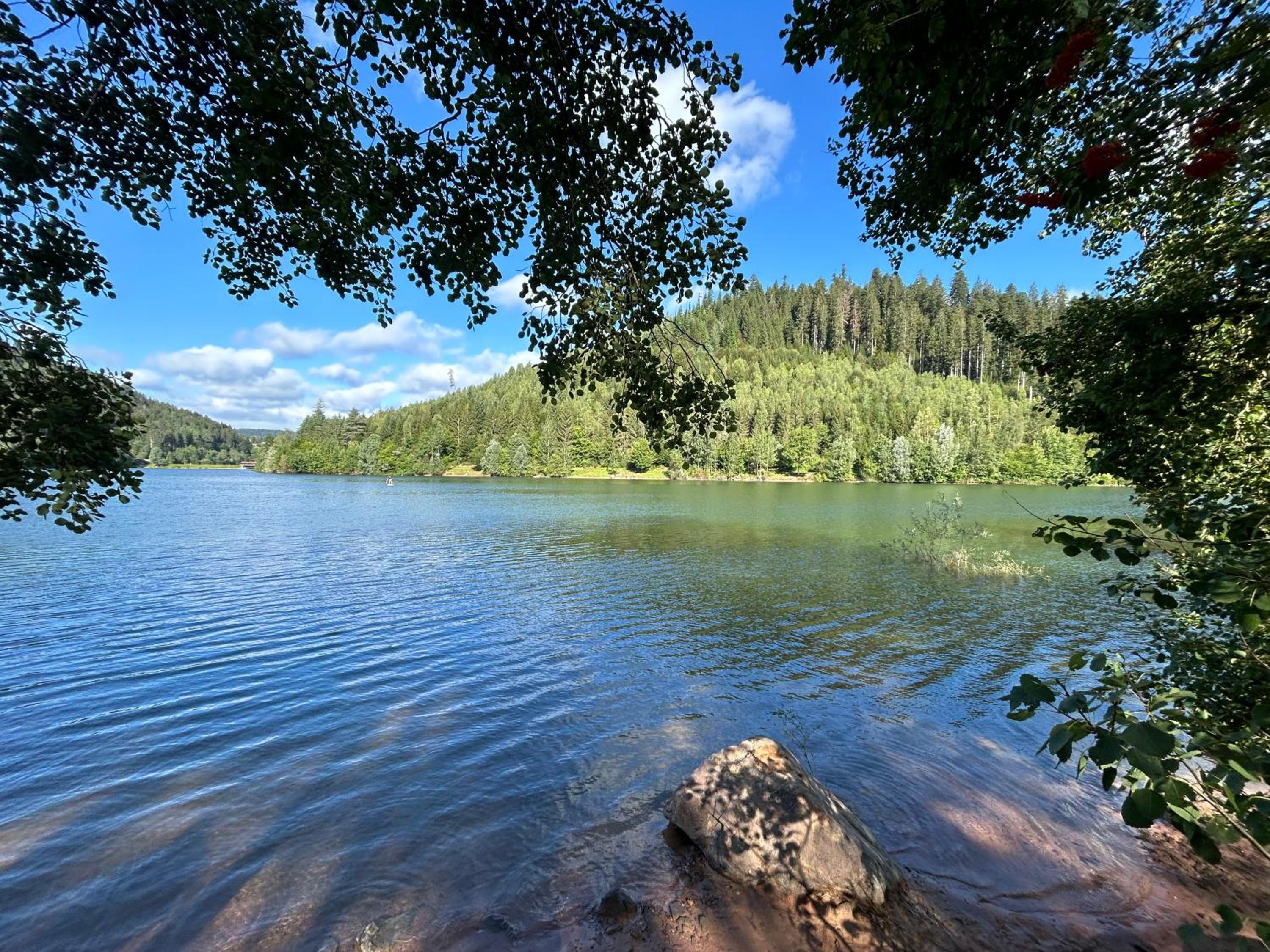 Kuckucksnest - Ferienwohnung mit Traumblick im Schwarzwald