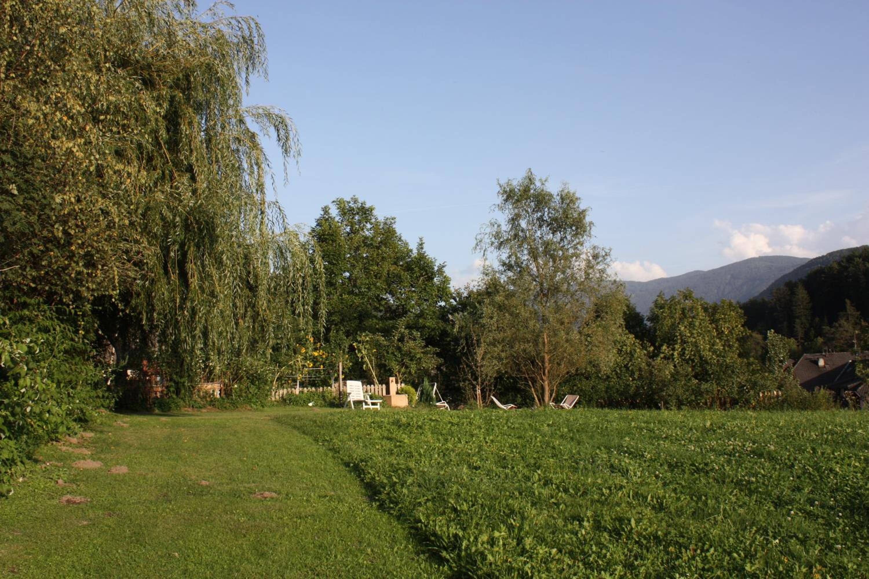 Haus Ploner - Pichlerhof photo 4