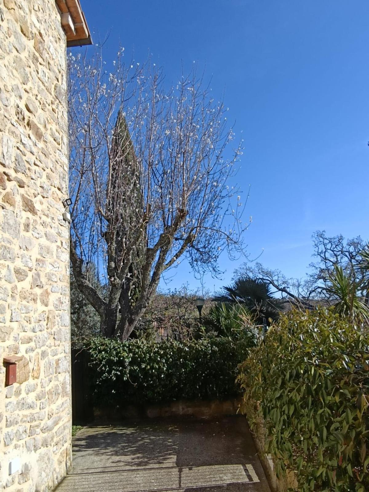GiuMa Tuscany Historic Country House with Patio near Saturnia Hot Springs