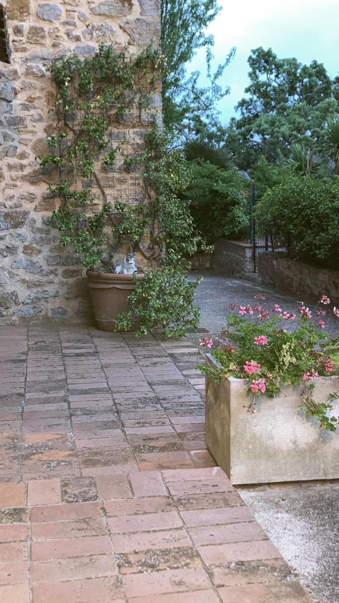 GiuMa Tuscany Historic Country House with Patio near Saturnia Hot Springs
