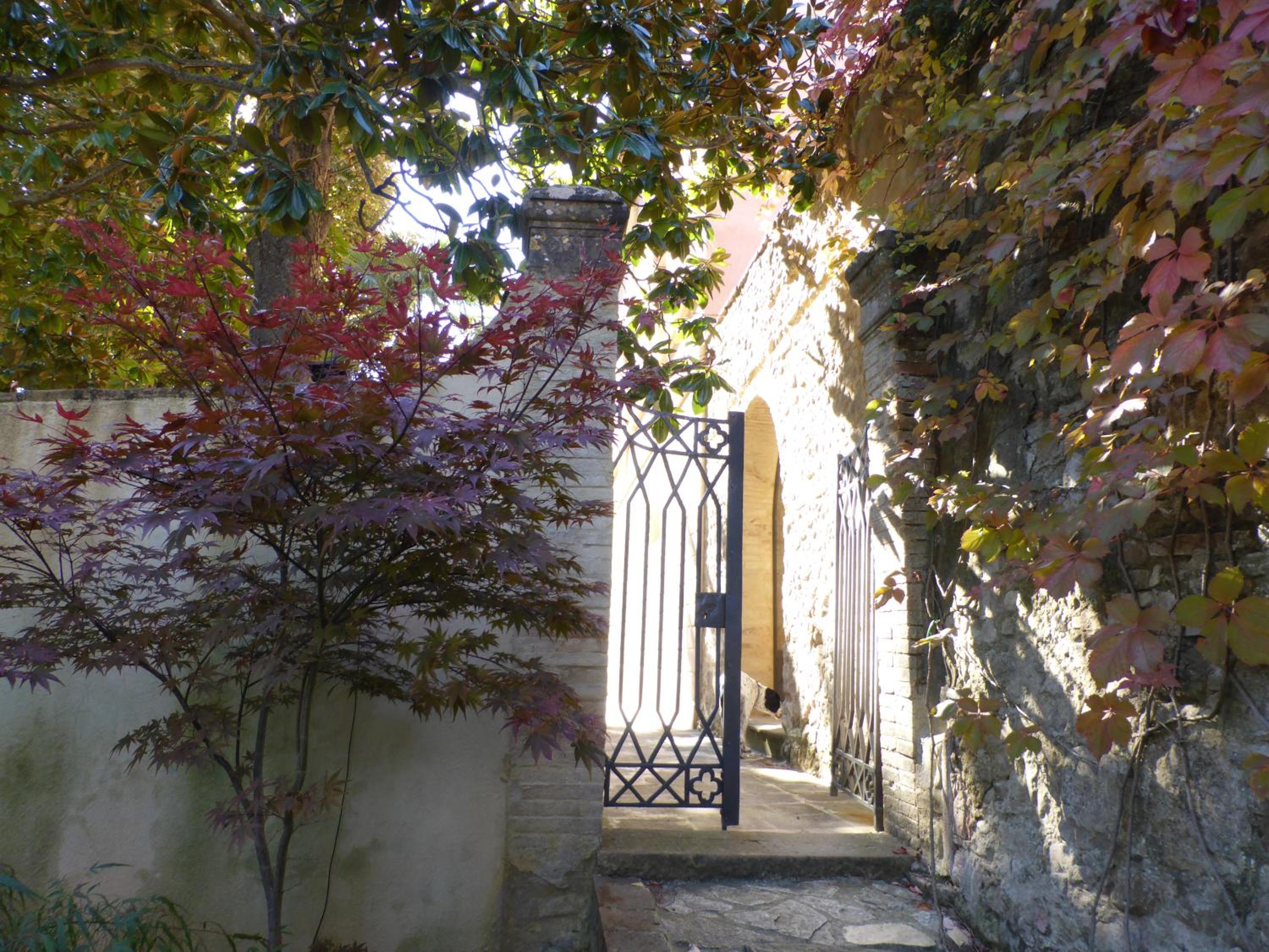 Photo 18