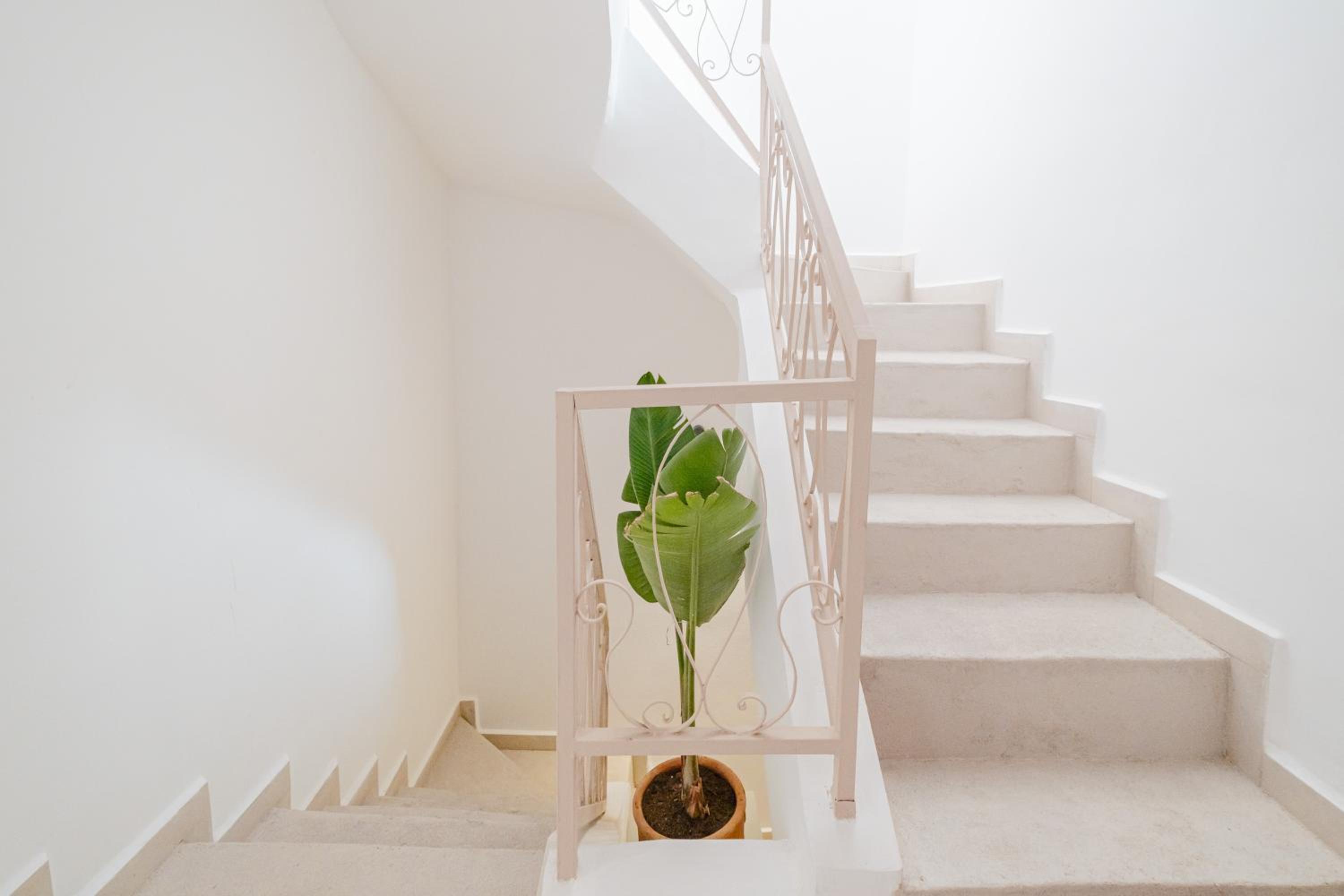 Heart of Gueliz Rooftop Terrace with Pool and Breakfast Free WiFi 3 Bedrooms