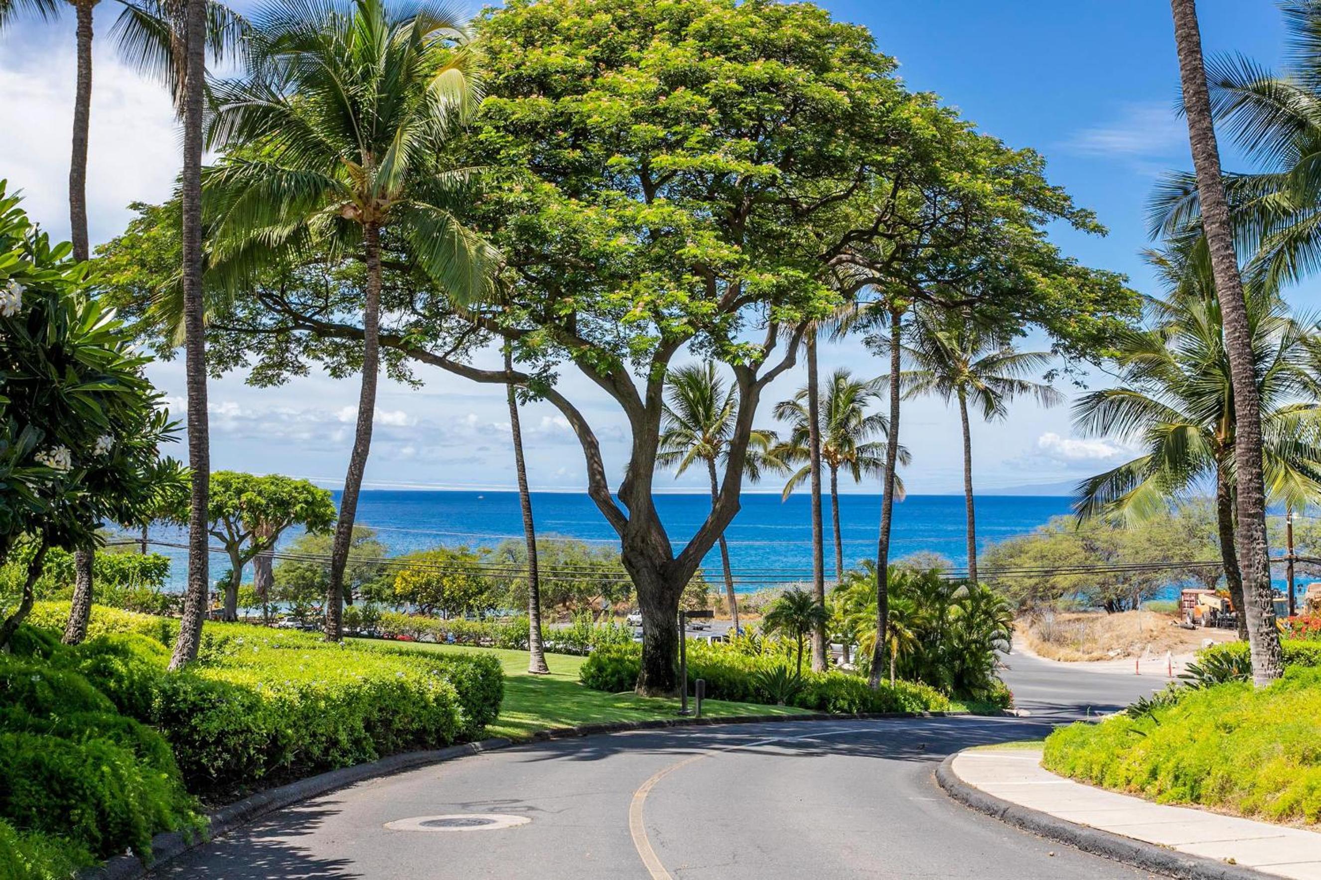 Maui Kamaole A-206 - Prime Location, Stunning Renovation, Large Lanai, Split AC!