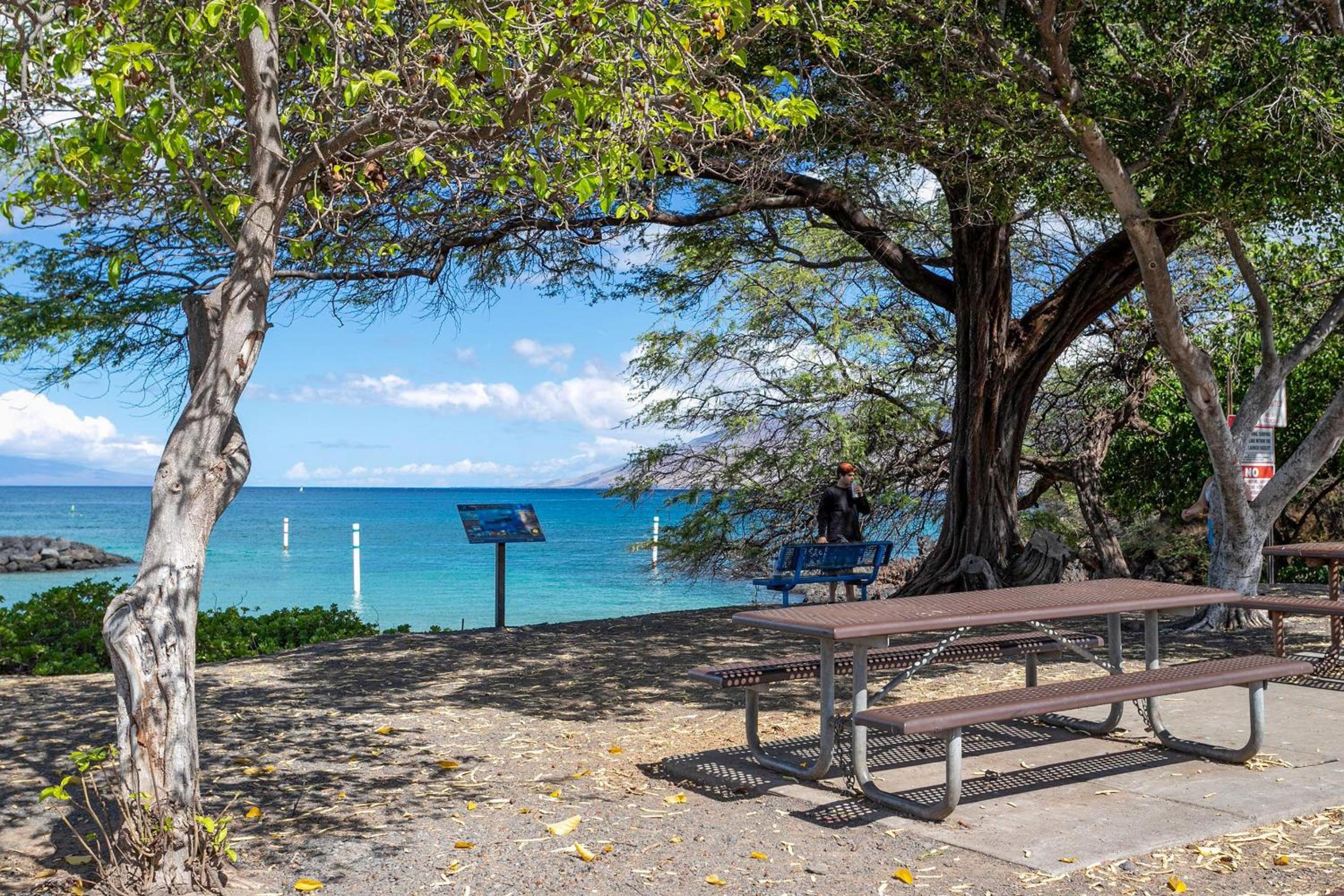 Maui Kamaole A-206 - Prime Location, Stunning Renovation, Large Lanai, Split AC!