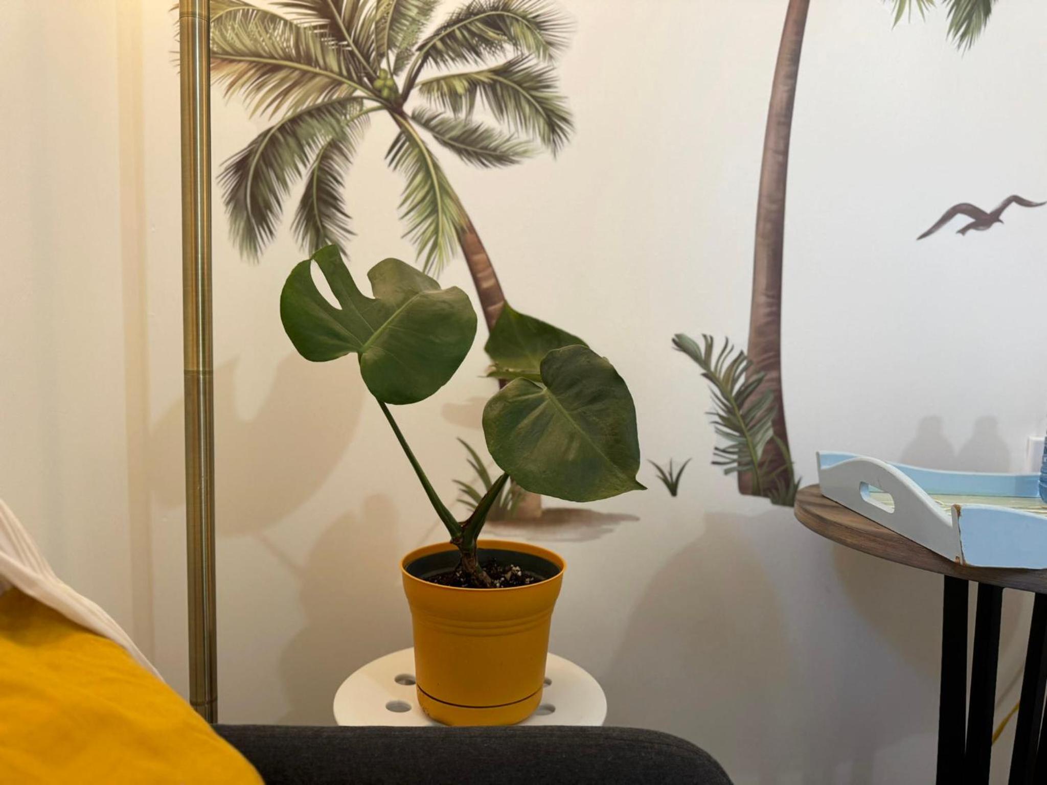 Sunrise BnB - Free Parking