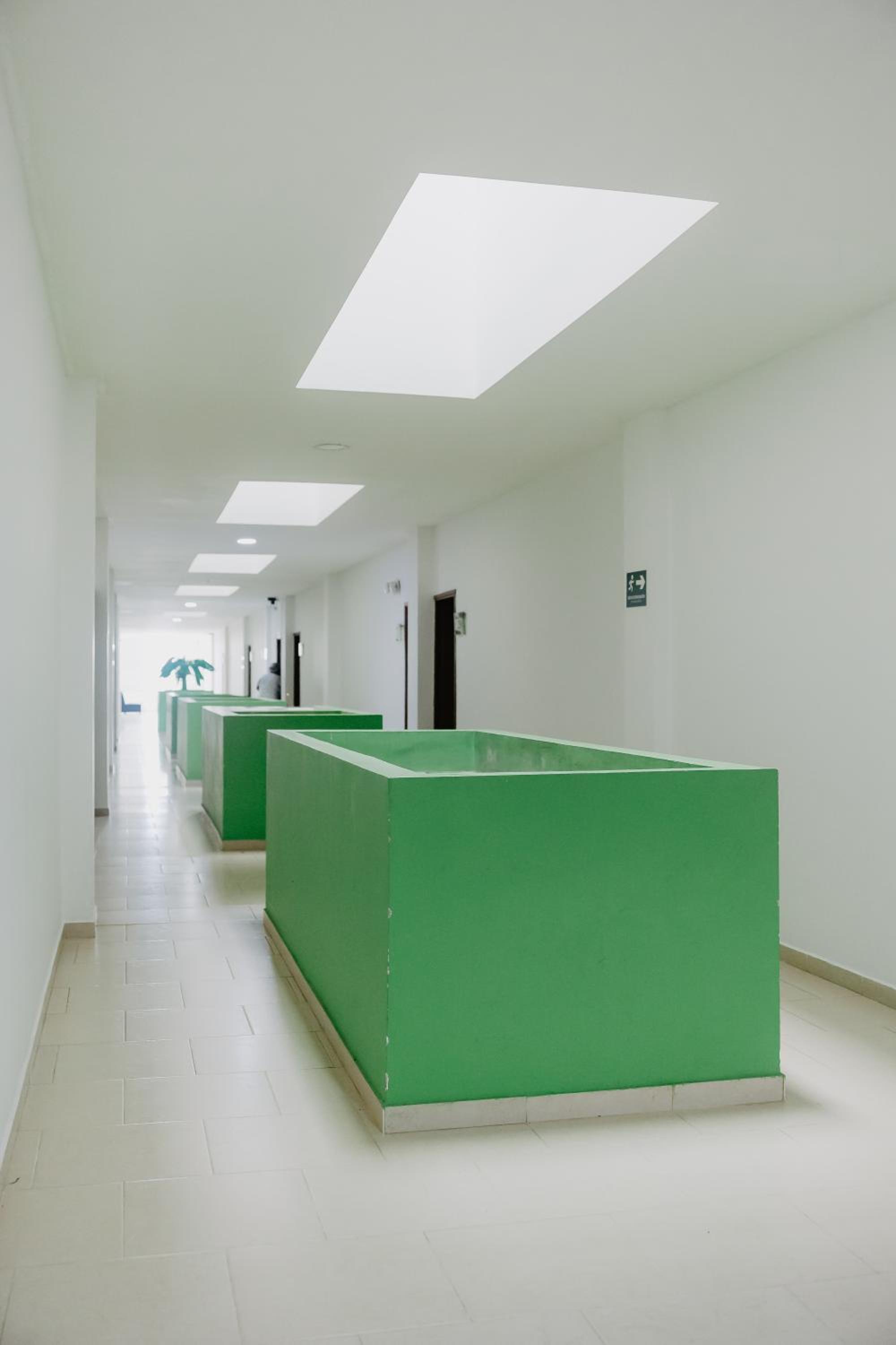 Hotel Plataneras Confort, photo 15