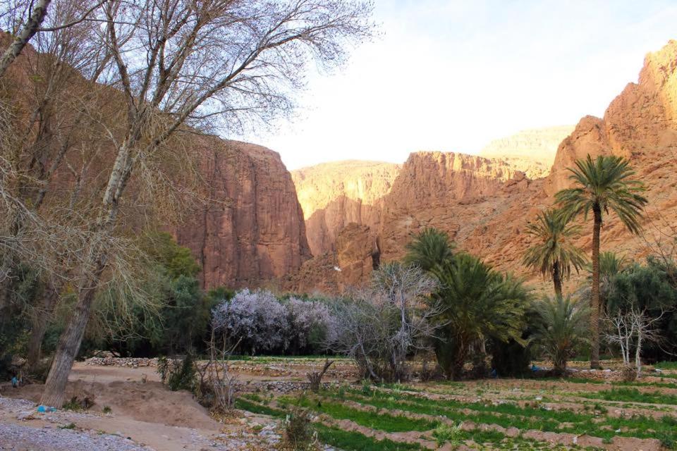 Dar Ayour Todra Gorges view 4