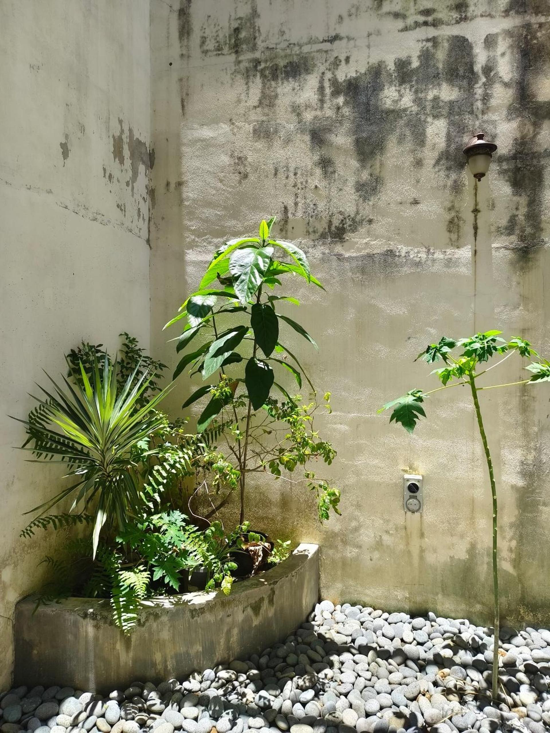 Aayu Heritage - Heritage Home in Stewart Lane