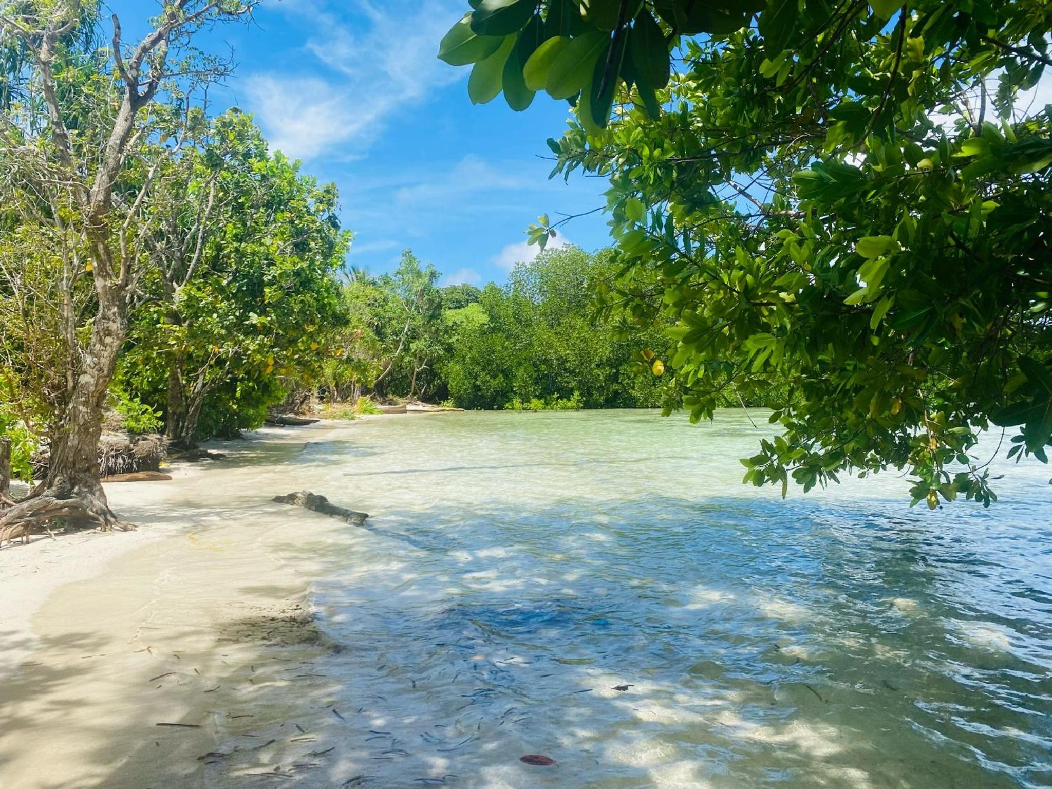 Senjahomestayrajaampat