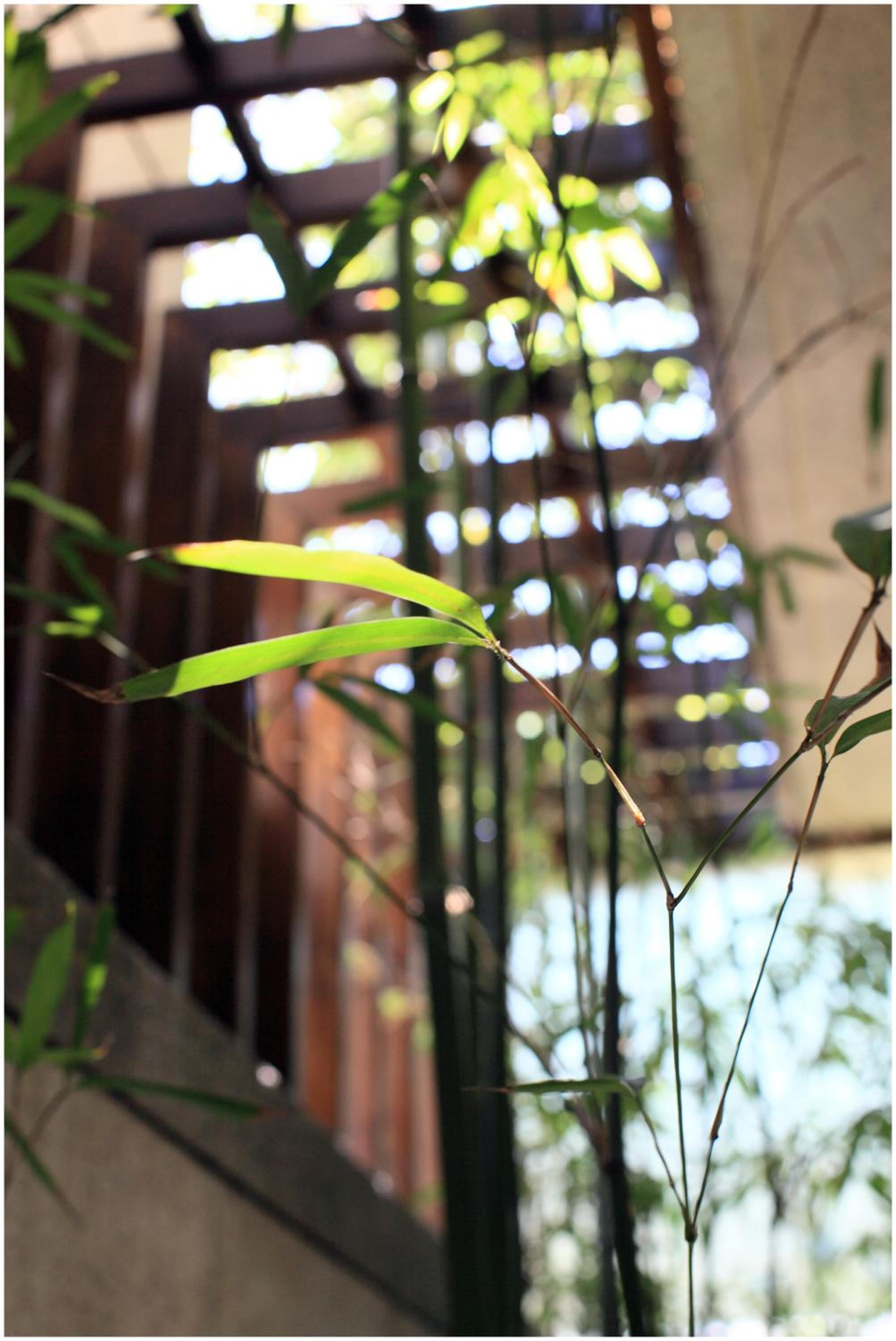 Errantry Lodge & Studio