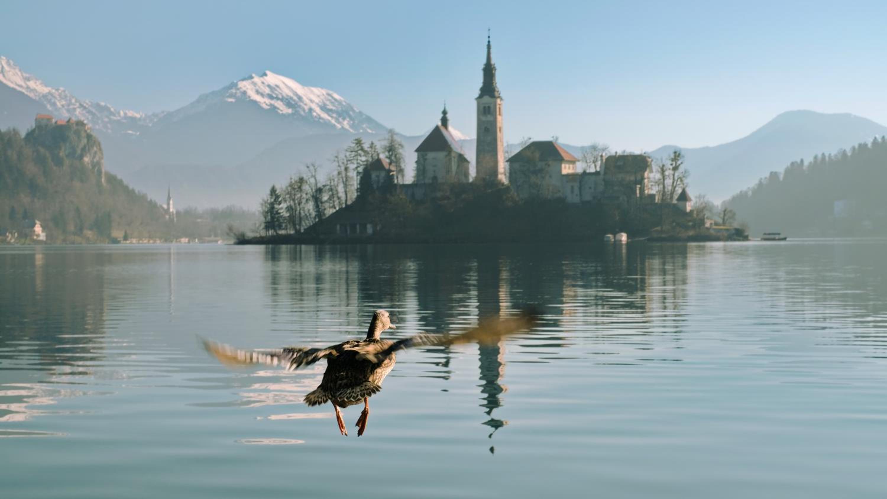 Apartments Vila Cvetka Bled