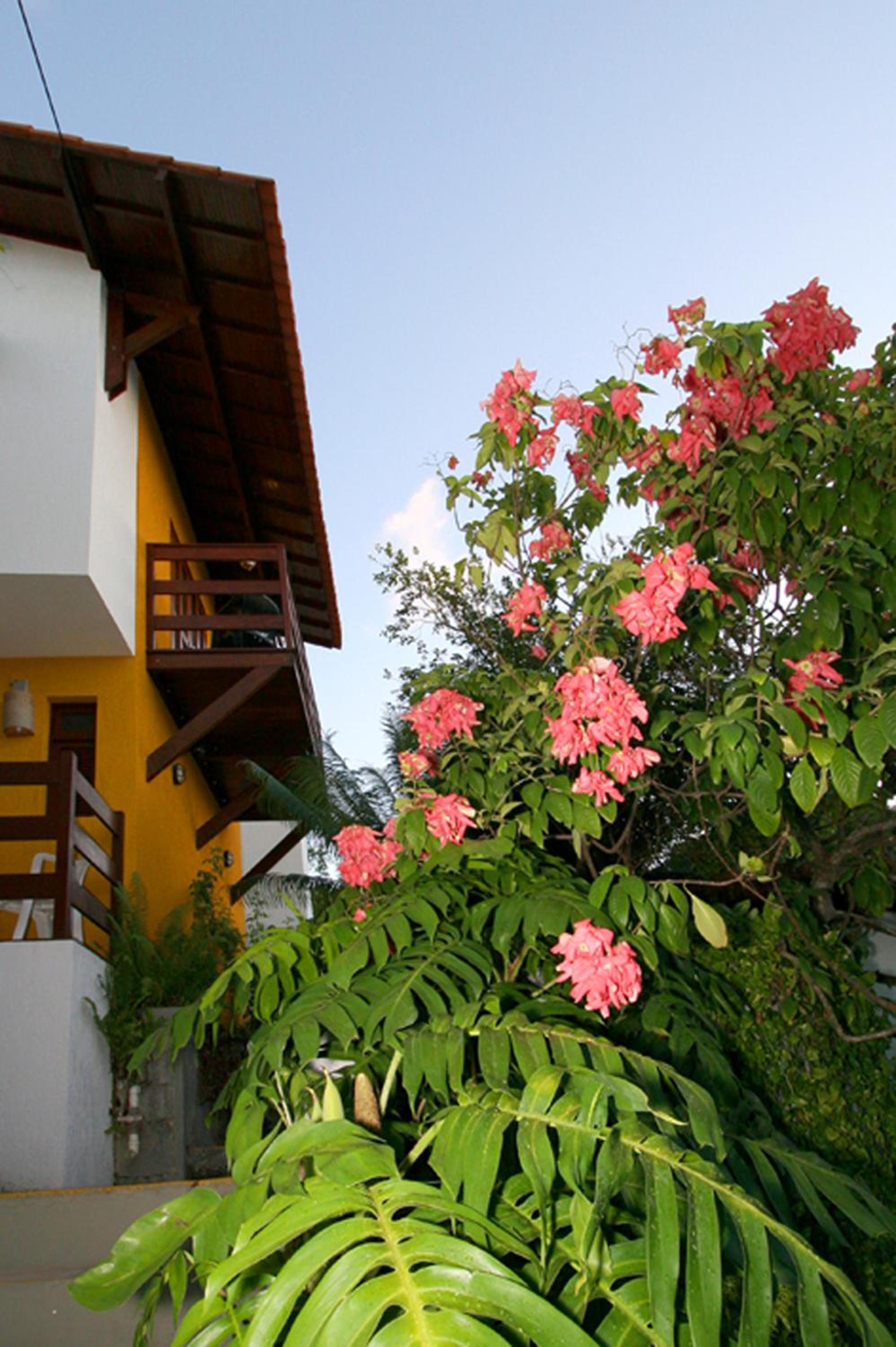 Pousada Castanheira
