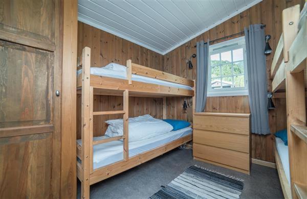 Pluscamp Mageli