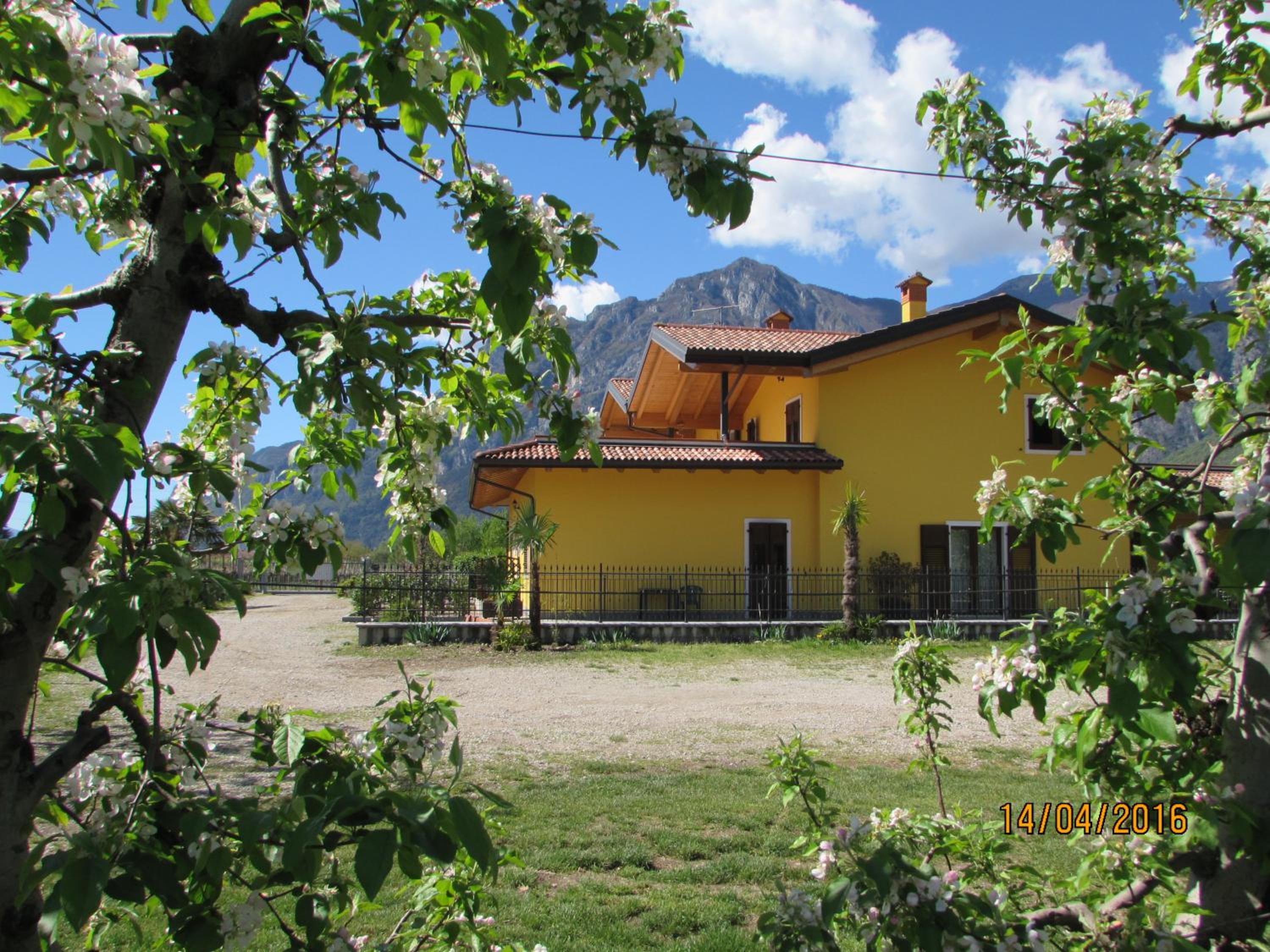 Photo 25