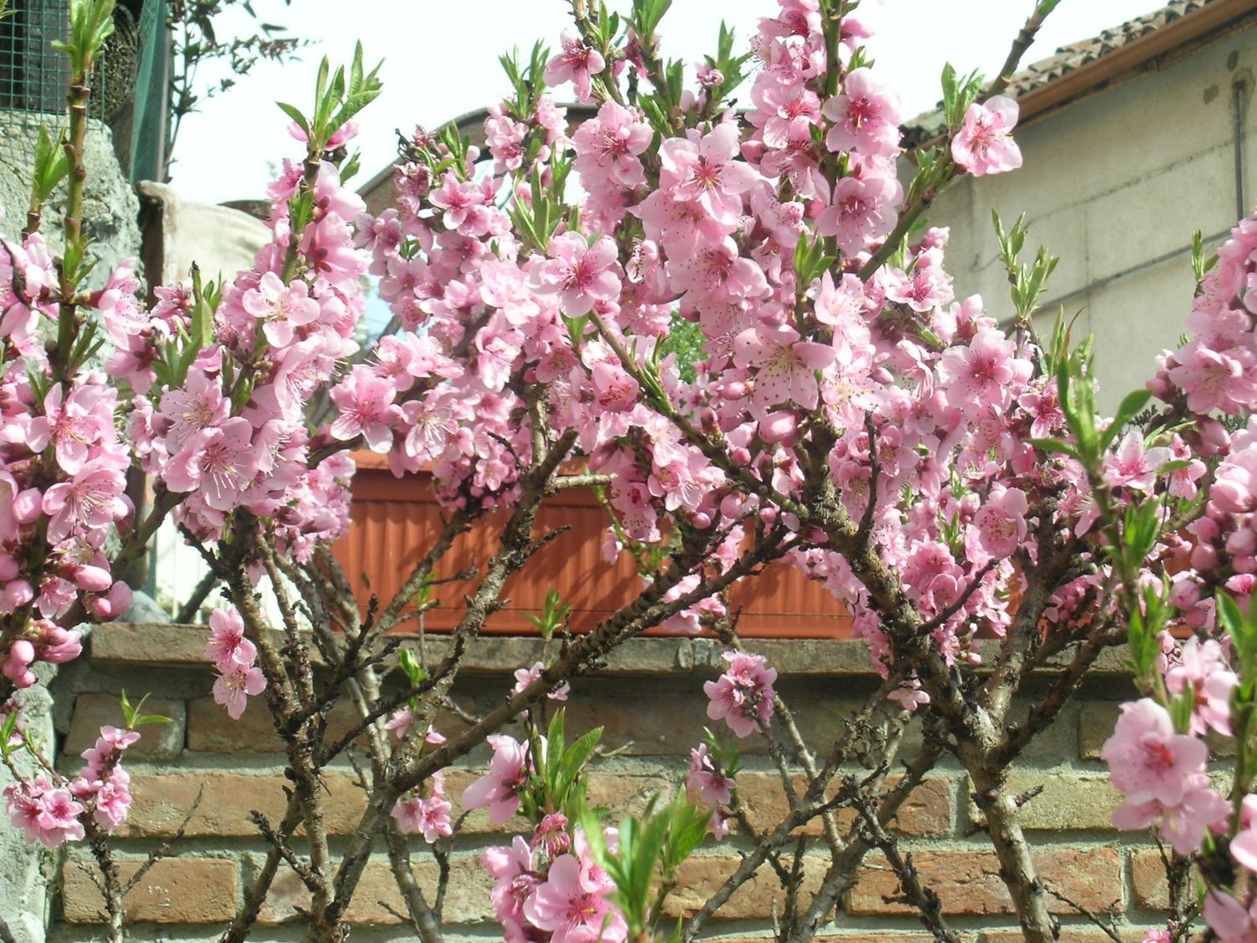 Photo 59