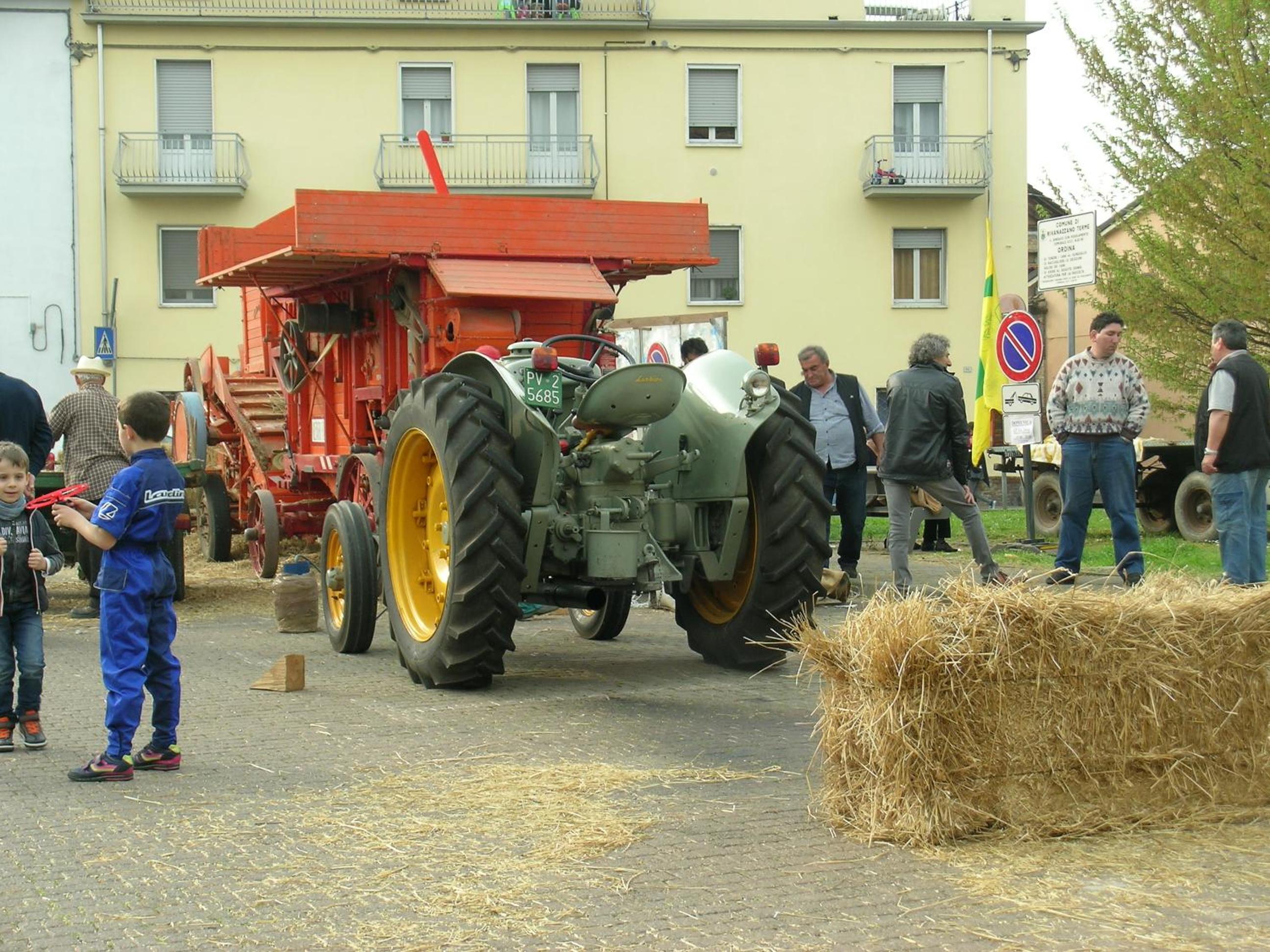Photo 42