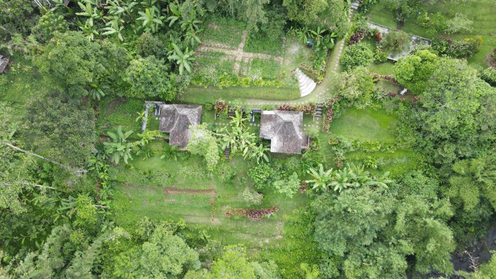 Kubu Damai Guest House