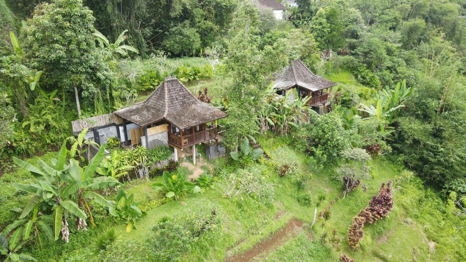 Kubu Damai Guest House