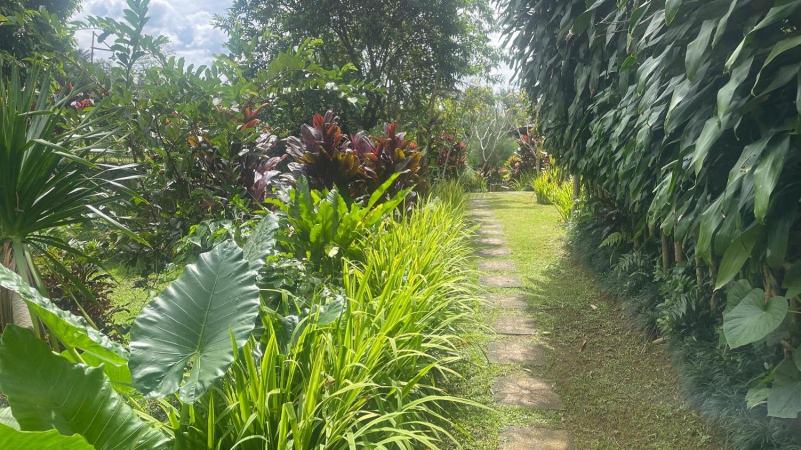 Kubu Damai Guest House