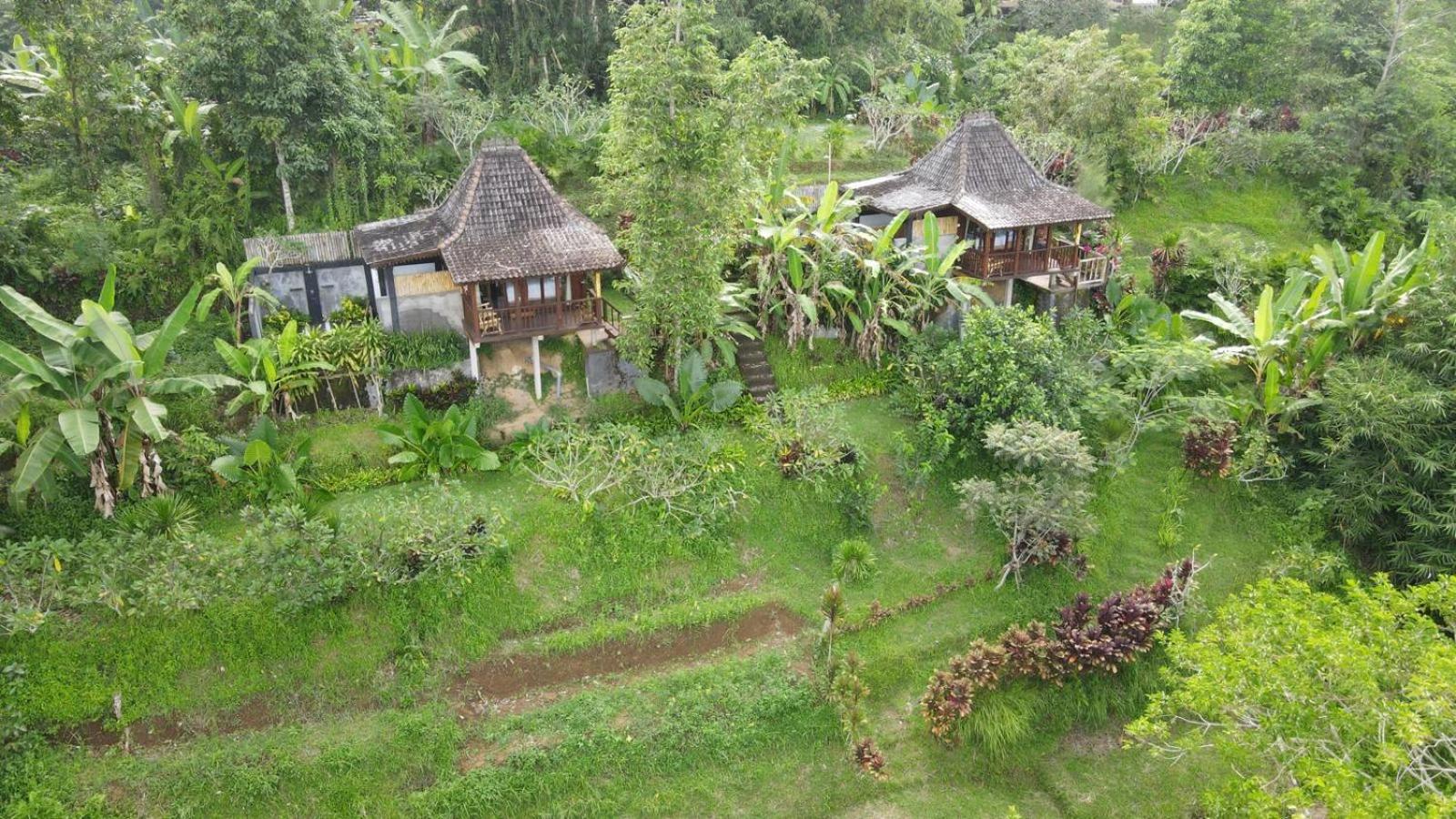 Kubu Damai Guest House