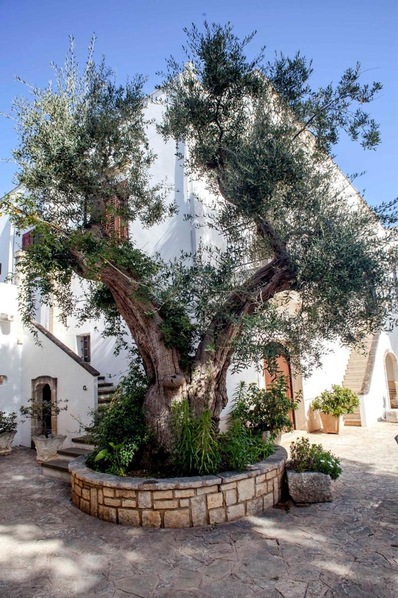 Masseria Don Sante